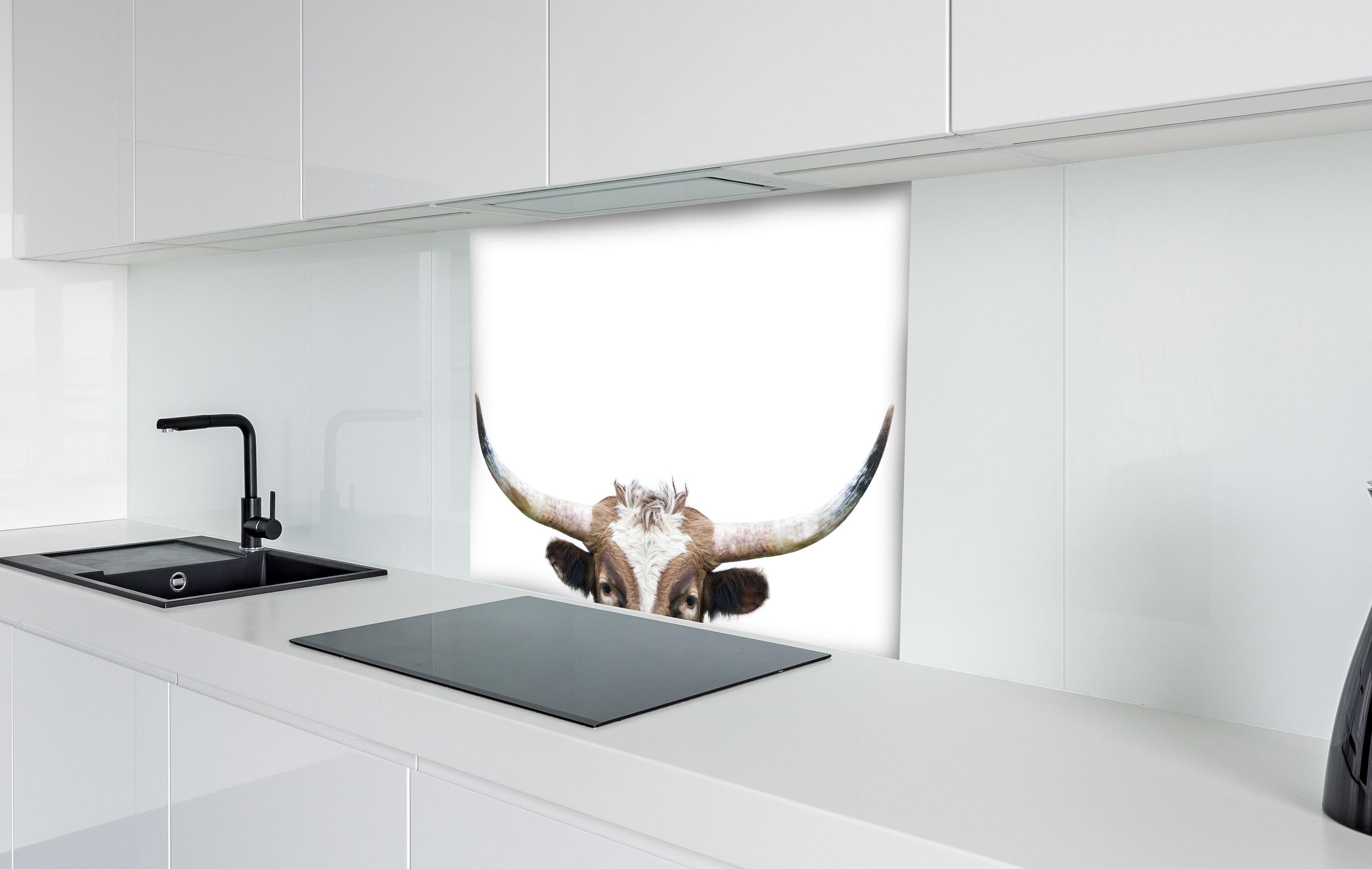 Spritzschutz - Spähende Longhorn-Kuh hinter einem Cerankochfeld zwischen Holz-Kochutensilien