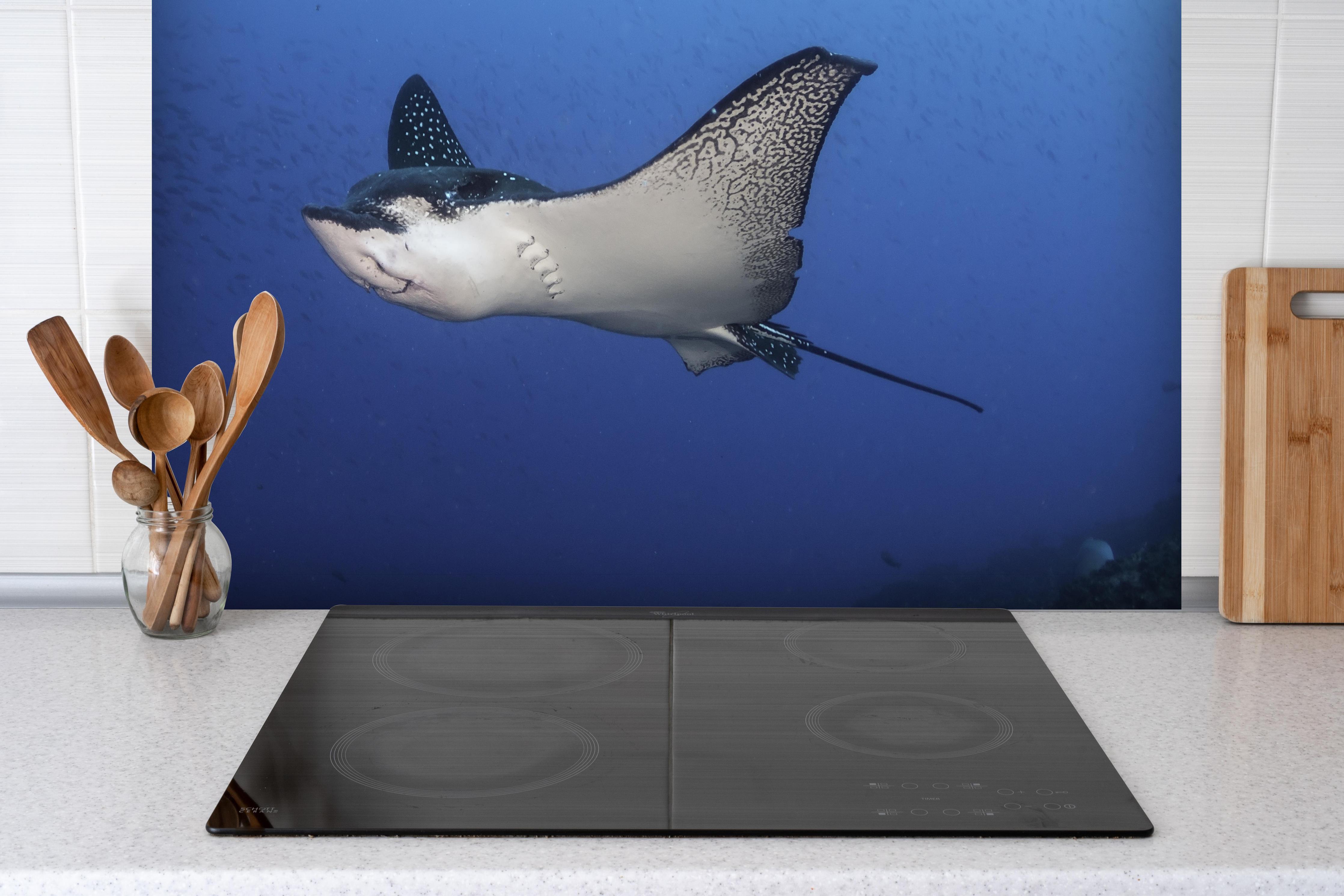 Spritzschutz - Adlerrochen schwimmt über dem Korallenriff hinter einem Cerankochfeld zwischen Holz-Kochutensilien