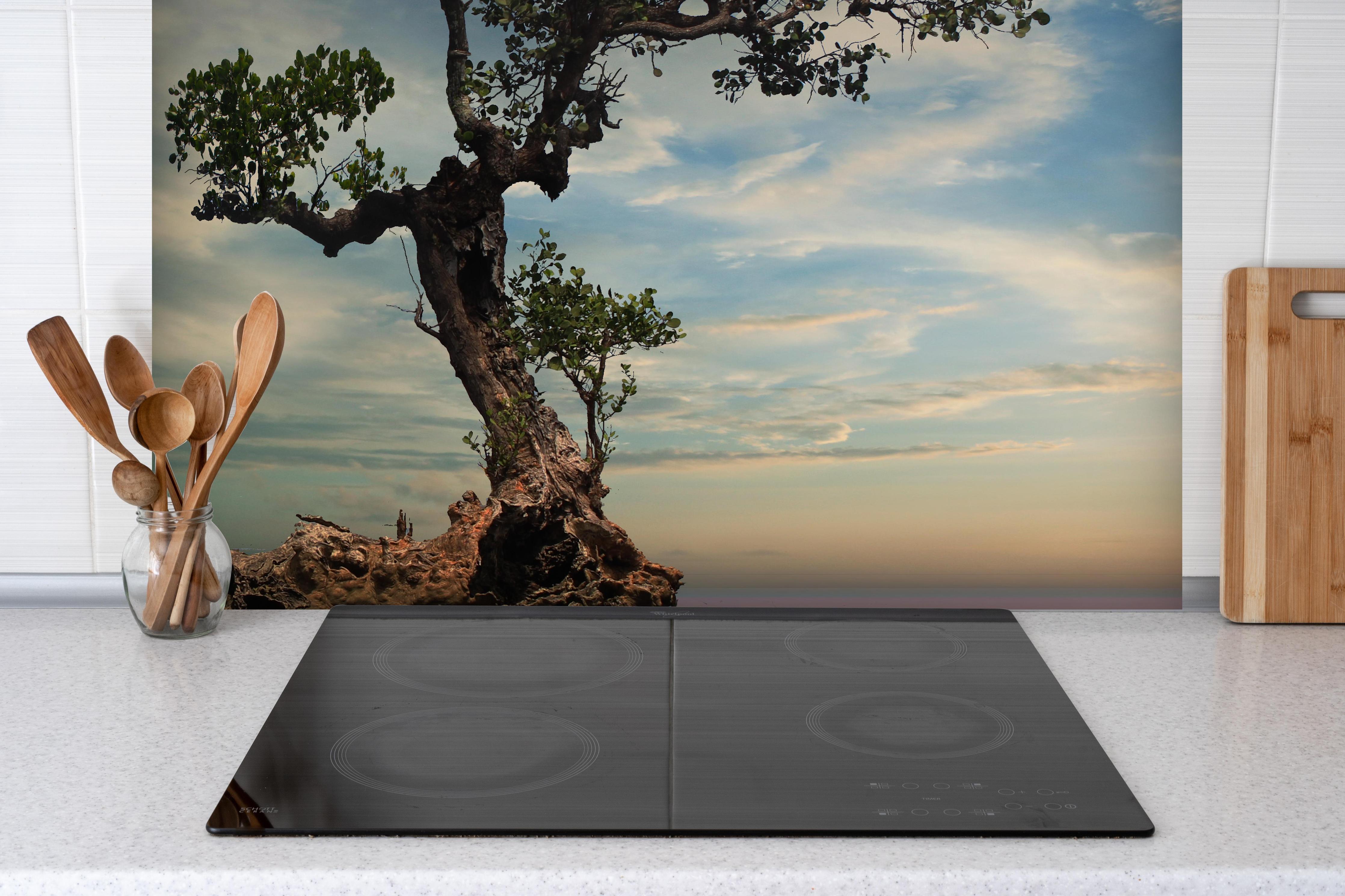 Spritzschutz - Alter Baum am Strand hinter einem Cerankochfeld zwischen Holz-Kochutensilien