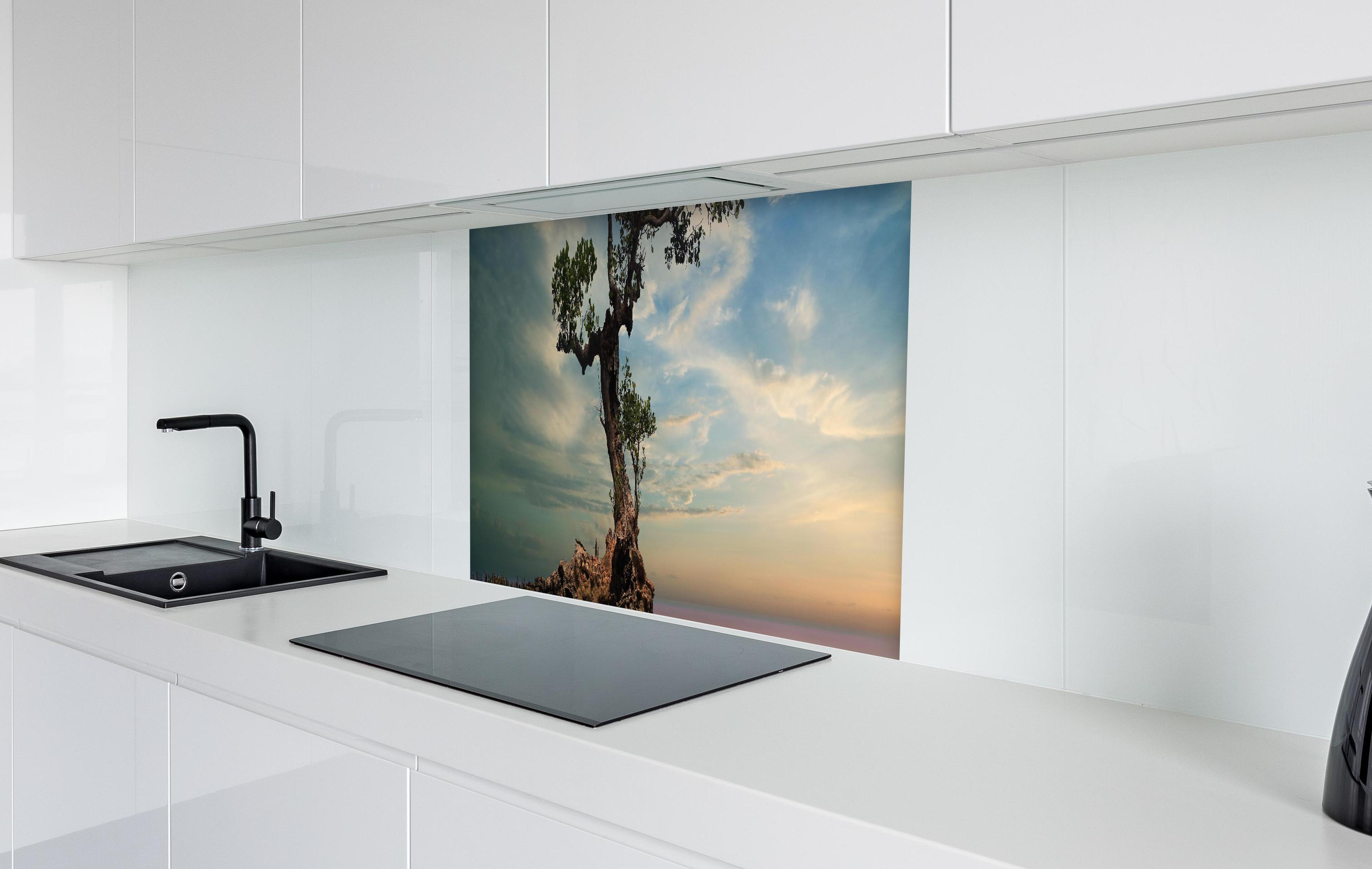 Spritzschutz - Alter Baum am Strand in weißer Hochglanz-Küche hinter einem Cerankochfeld