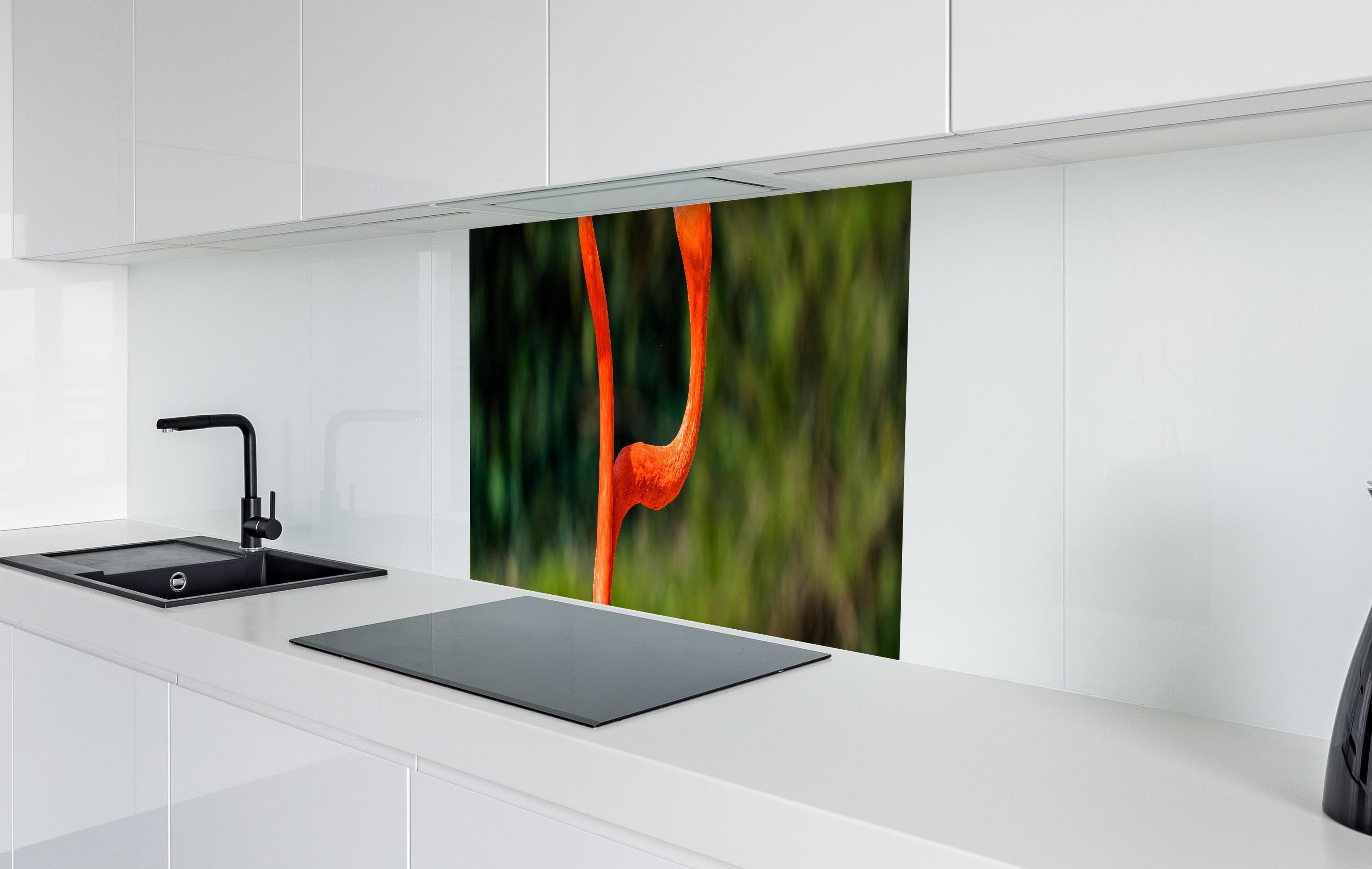 Spritzschutz - Amerikanisches Flamingo-Paar in weißer Hochglanz-Küche hinter einem Cerankochfeld
