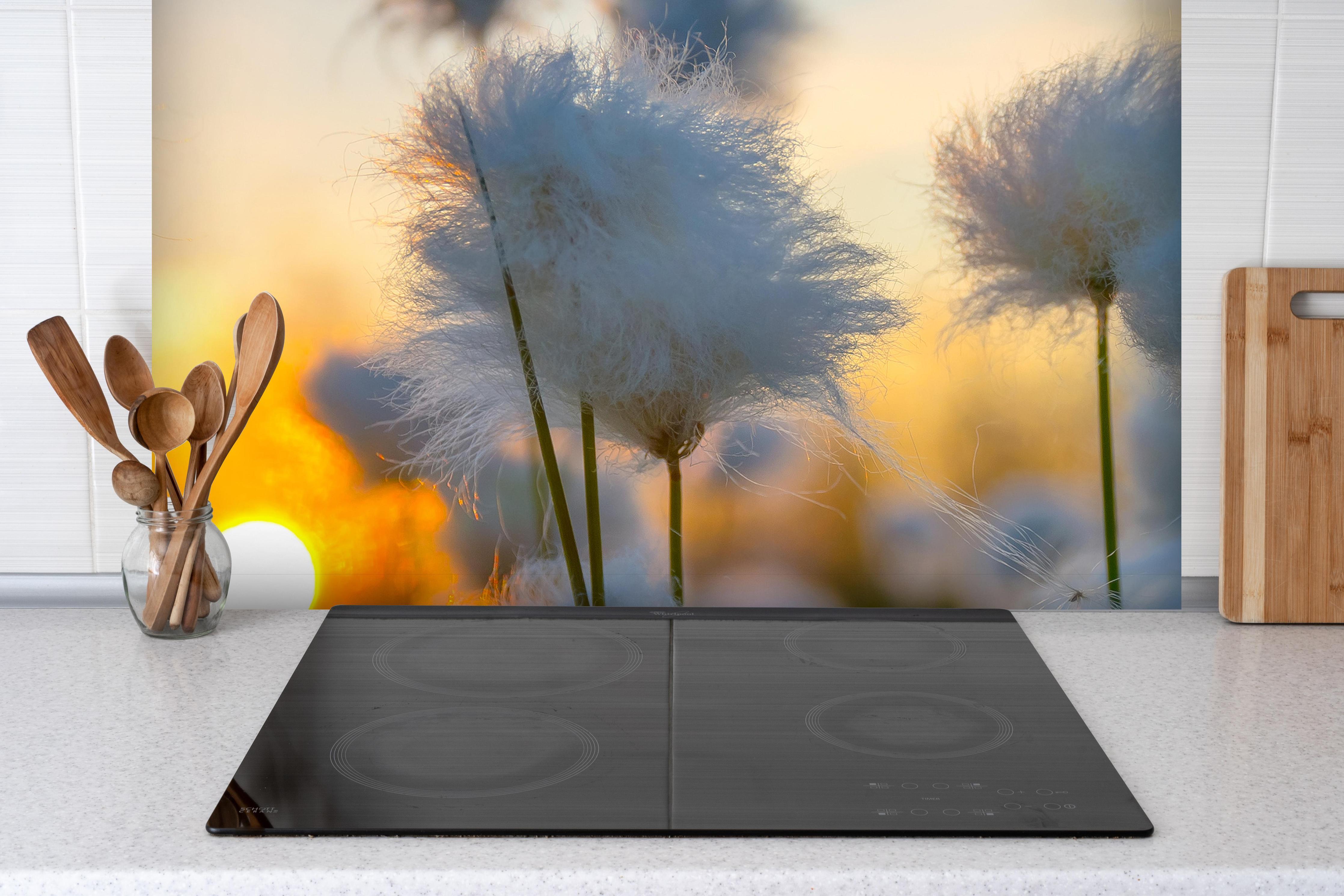 Spritzschutz - Baumwollgras bei Sonnenuntergang hinter einem Cerankochfeld zwischen Holz-Kochutensilien