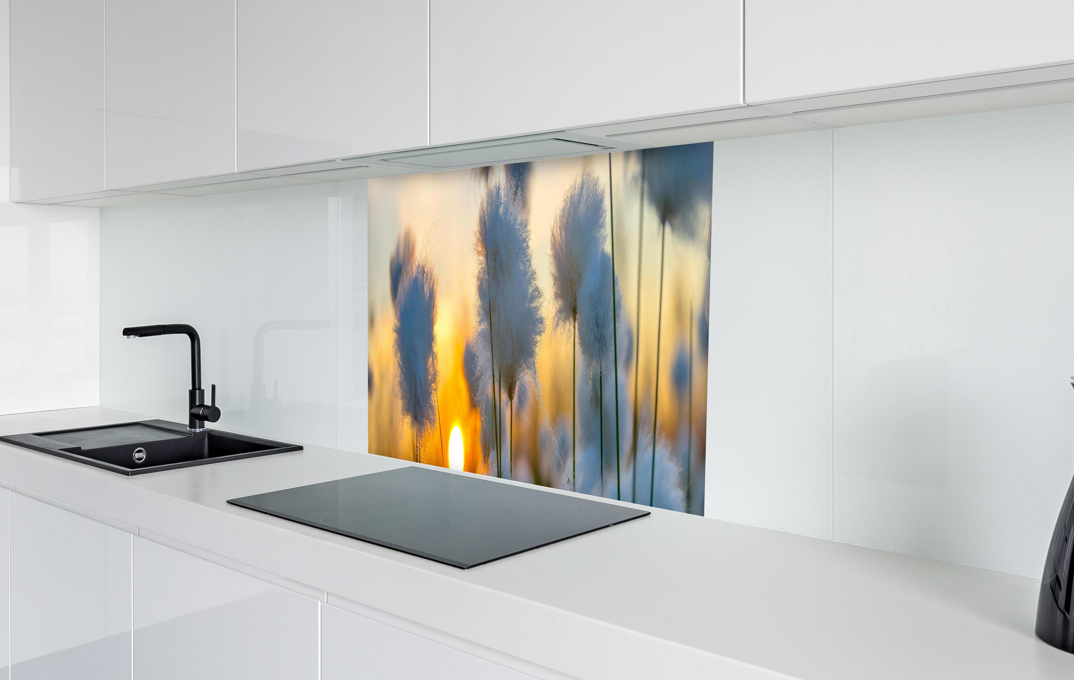 Spritzschutz - Baumwollgras bei Sonnenuntergang in weißer Hochglanz-Küche hinter einem Cerankochfeld