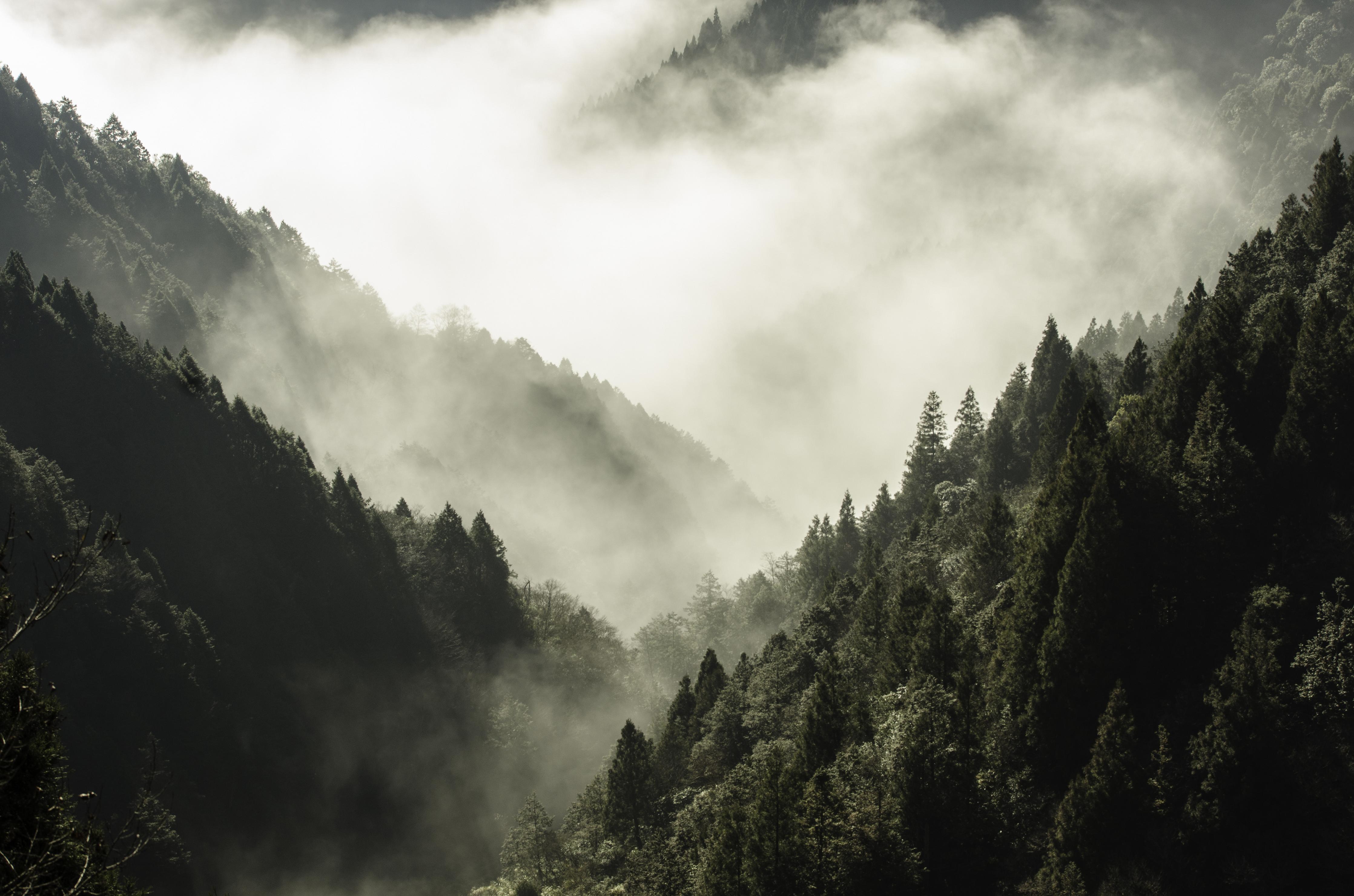Spritzschutz-Berg bedeckt in Nebel und Wolken