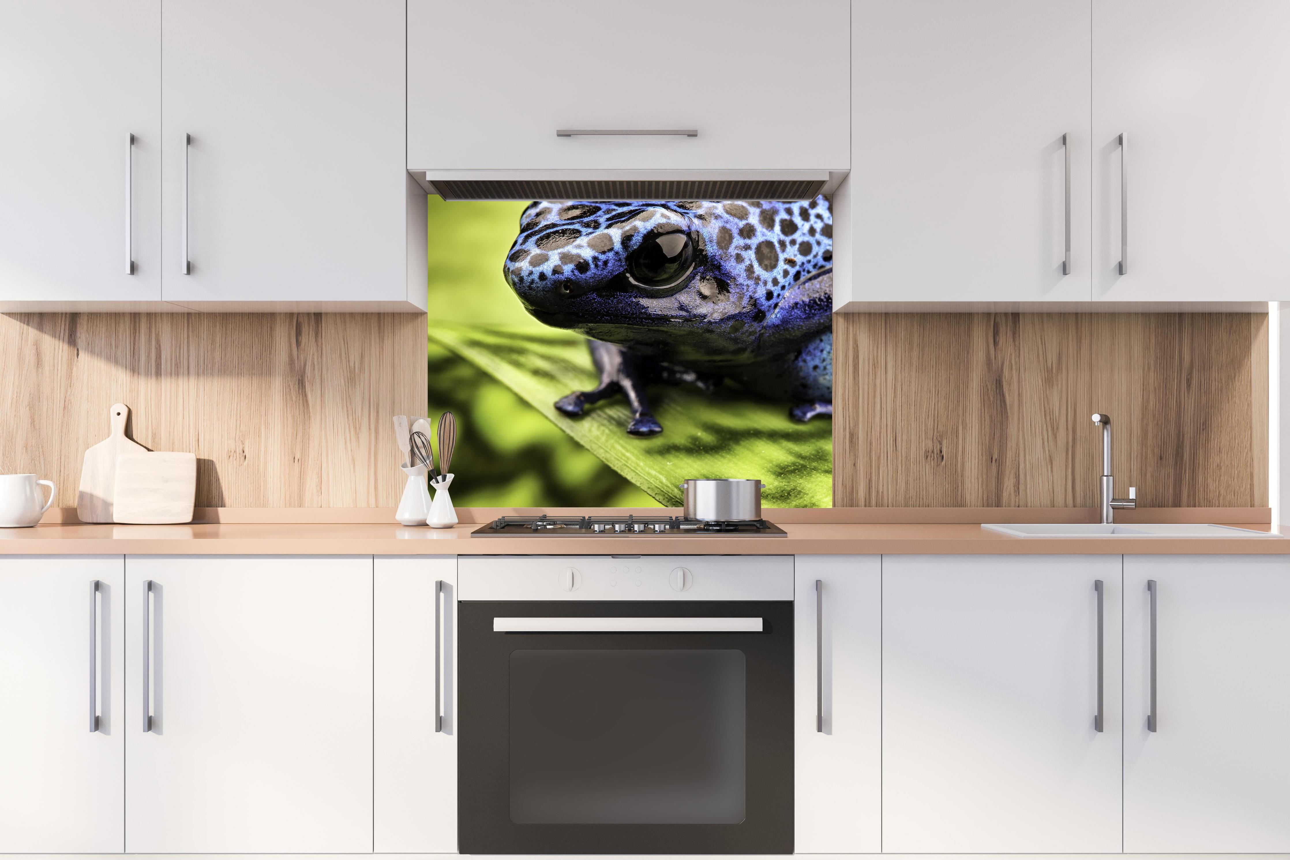 Spritzschutz - Blauer Pfeilgiftfrosch im Amazonas hinter stilvollem Gasherd unter Dunstabzugshaube