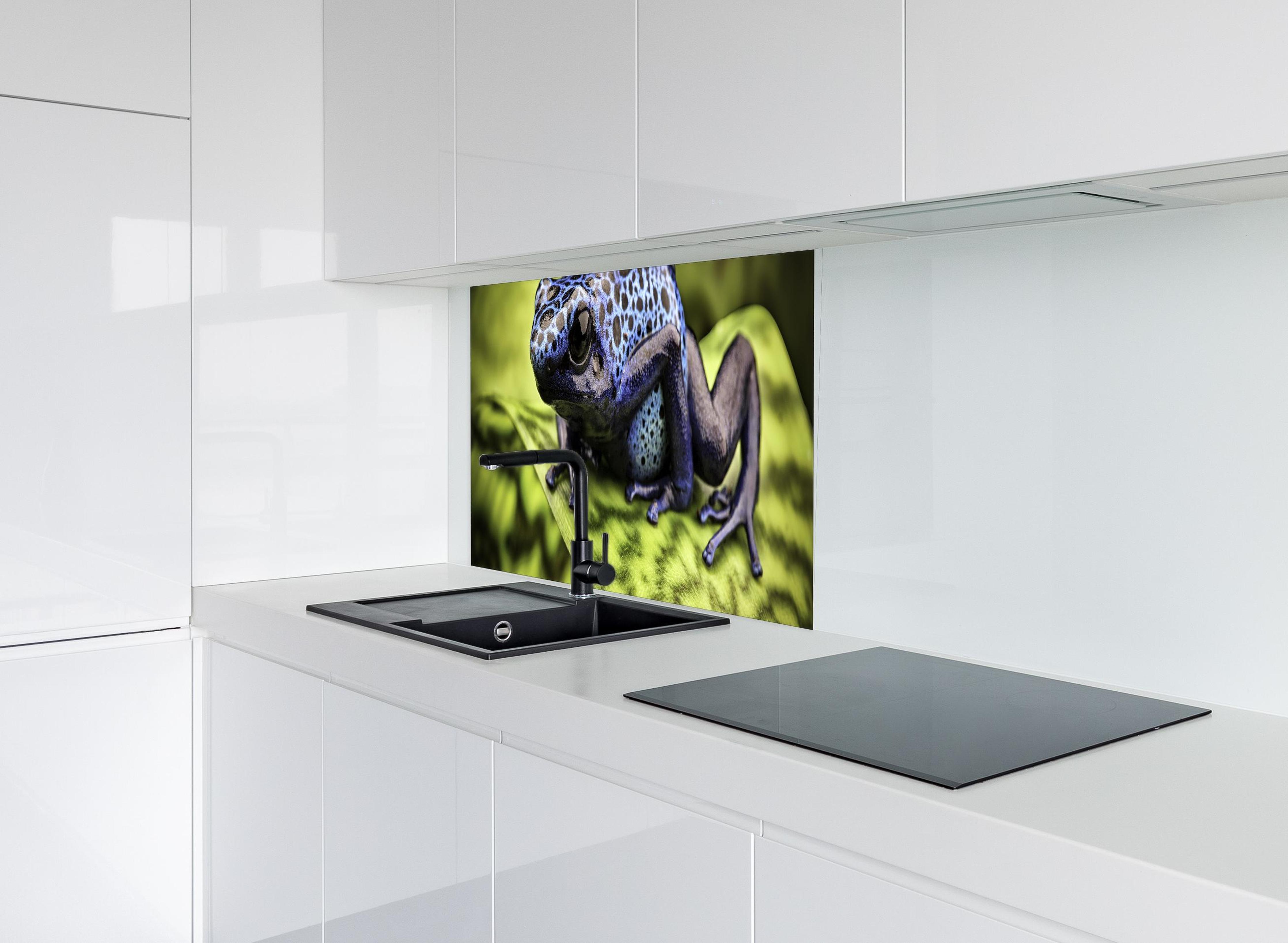 Spritzschutz - Blauer Pfeilgiftfrosch im Amazonas hinter modernem schwarz-matten Spülbecken in weißer Hochglanz-Küche