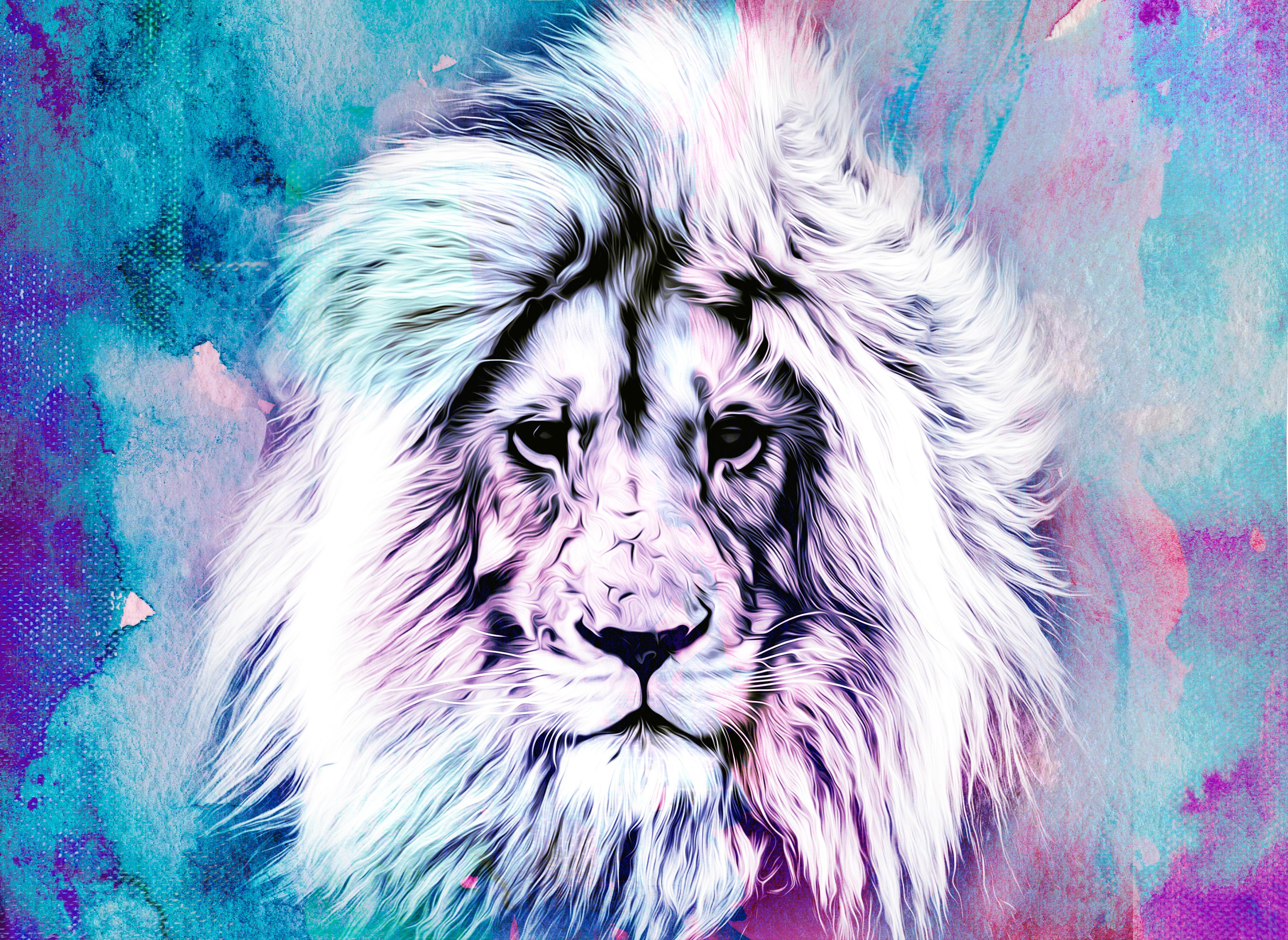 Spritzschutz-Bunter abstrakter Löwenkopf