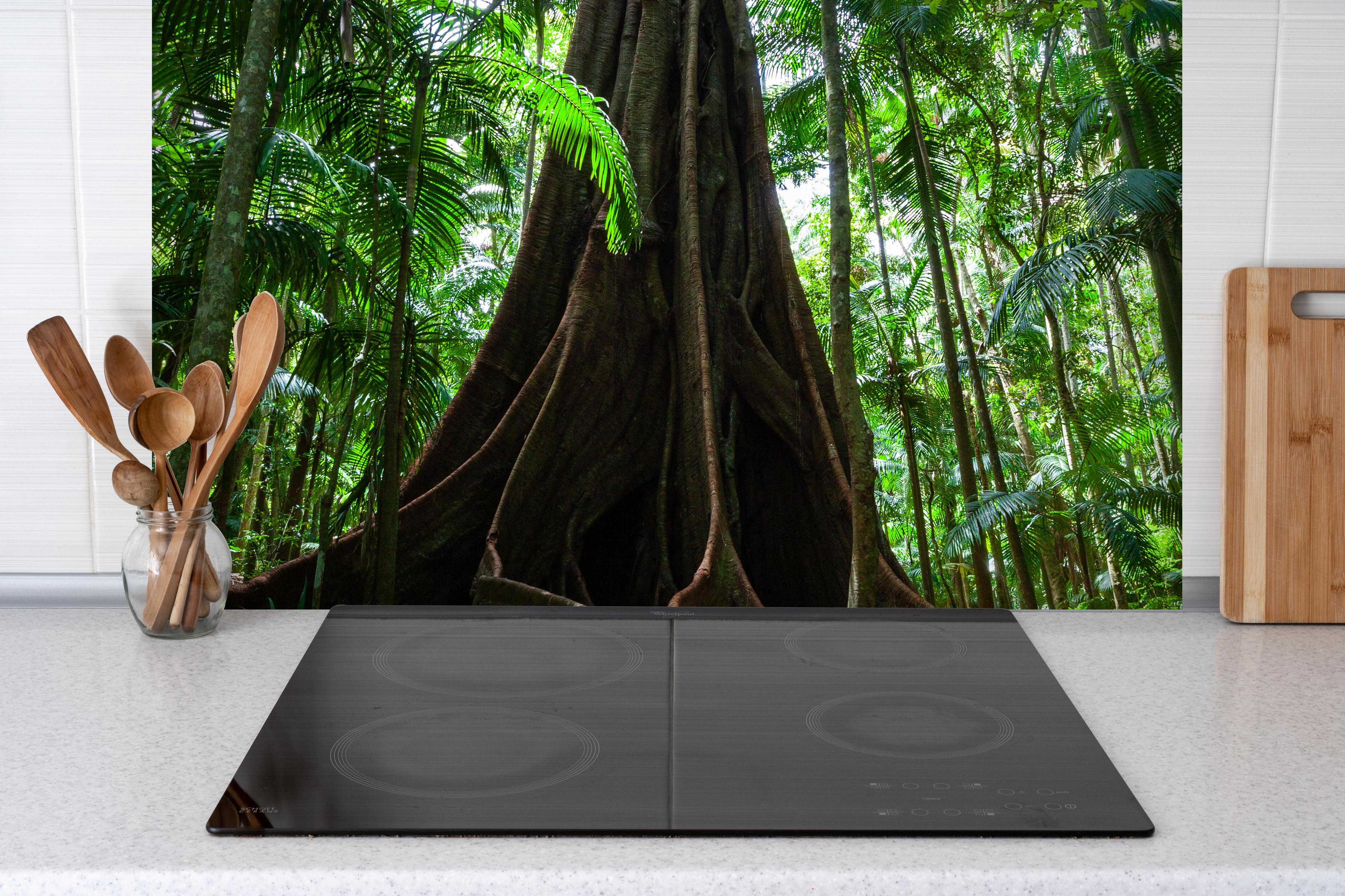 Spritzschutz - Erstaunlicher Riesenfeigenbaum hinter einem Cerankochfeld zwischen Holz-Kochutensilien