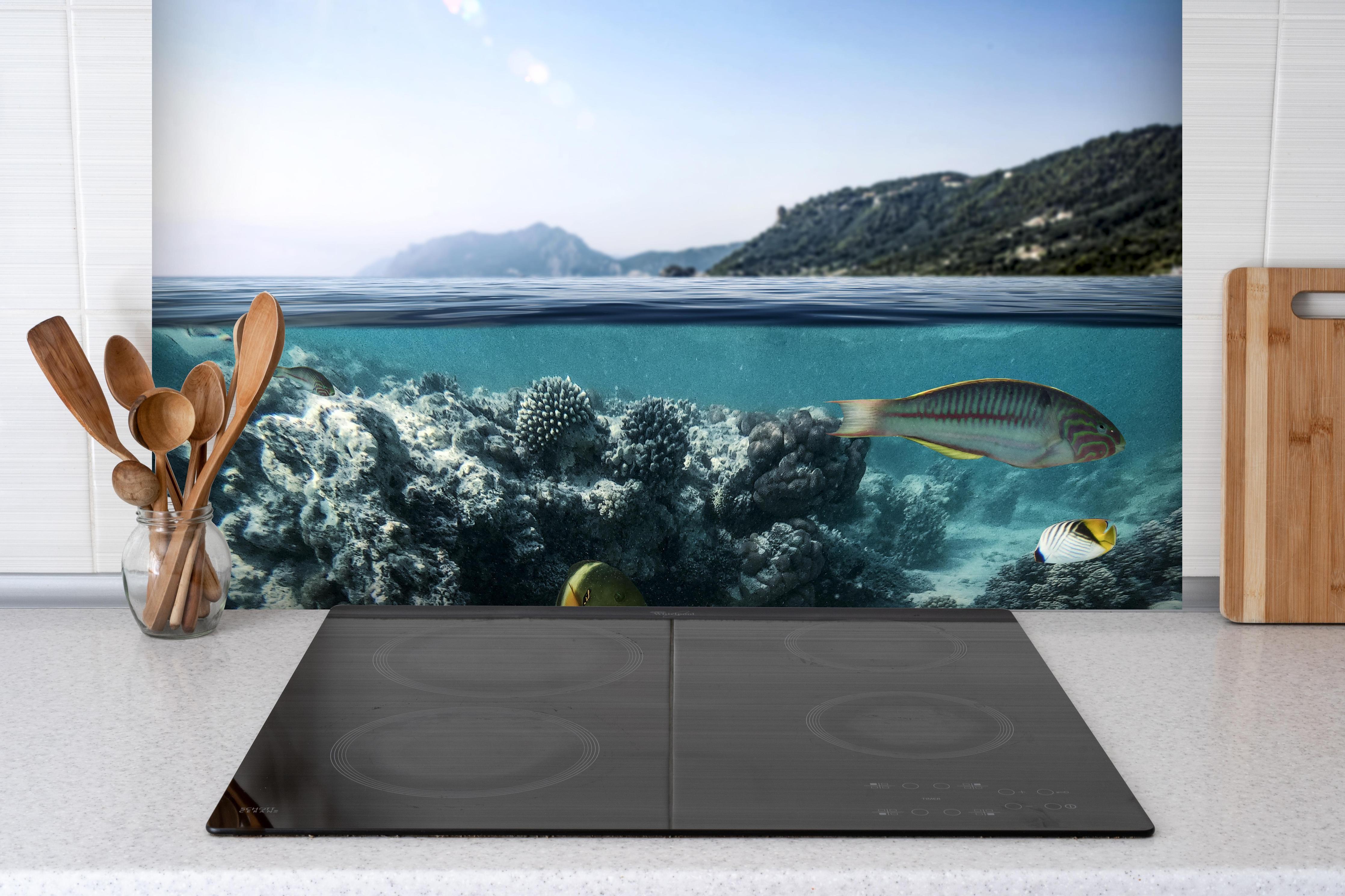 Spritzschutz - Exotische Fische im Korallenriff hinter einem Cerankochfeld zwischen Holz-Kochutensilien