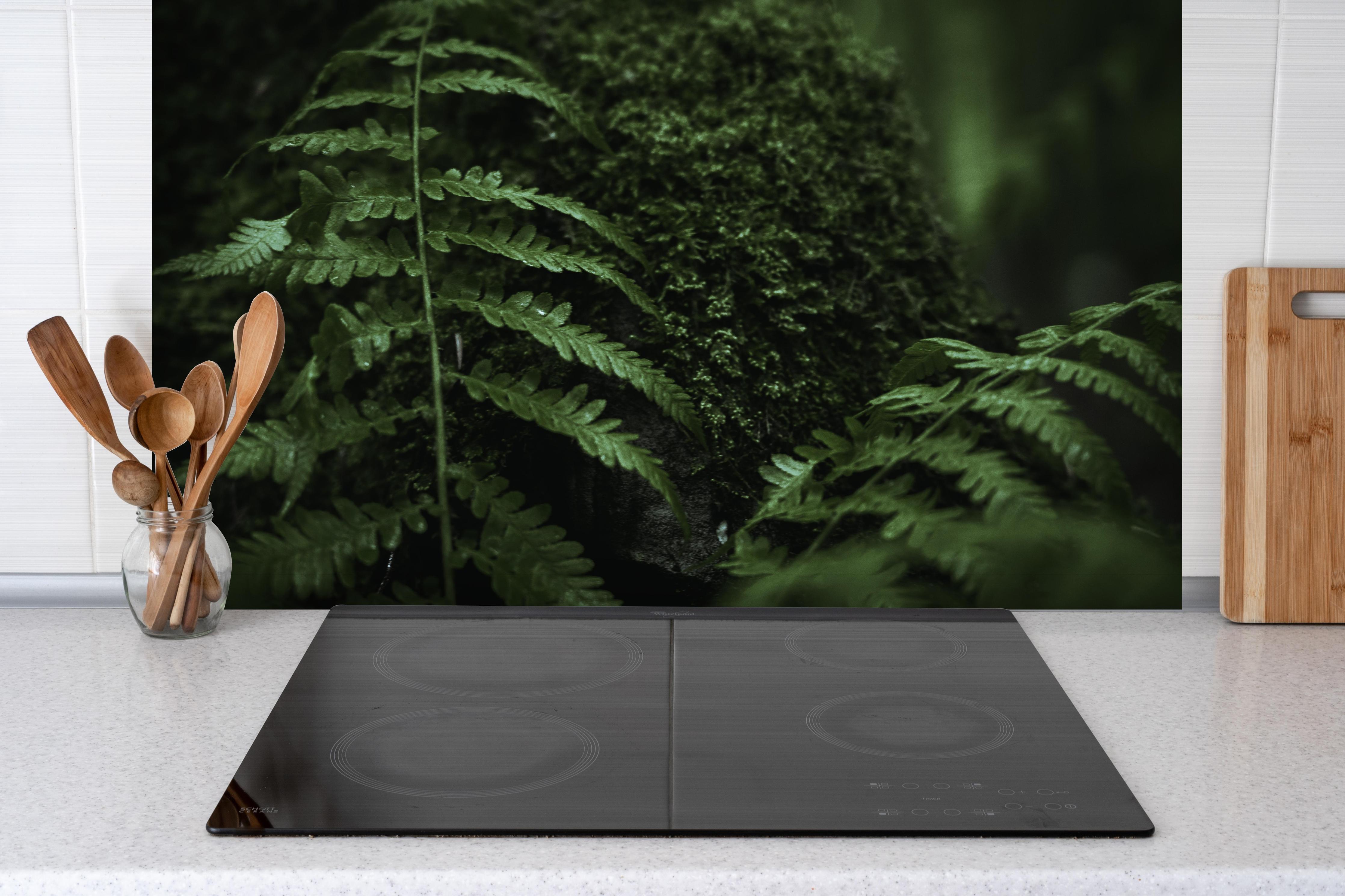 Spritzschutz - Farn im Wald des Allgäu bei Dunkelheit hinter einem Cerankochfeld zwischen Holz-Kochutensilien