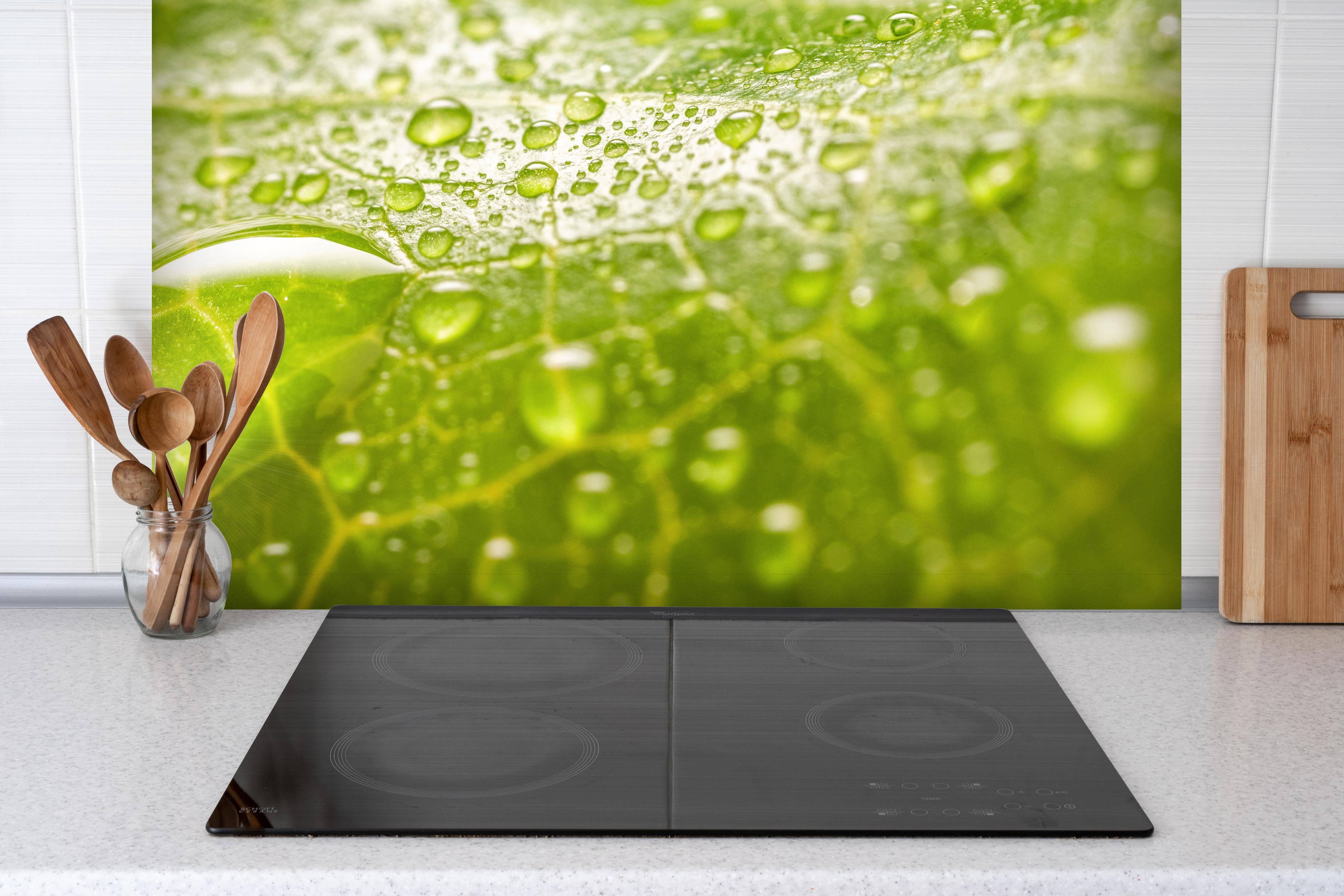 Spritzschutz - Feuchtes Blatt hinter einem Cerankochfeld zwischen Holz-Kochutensilien