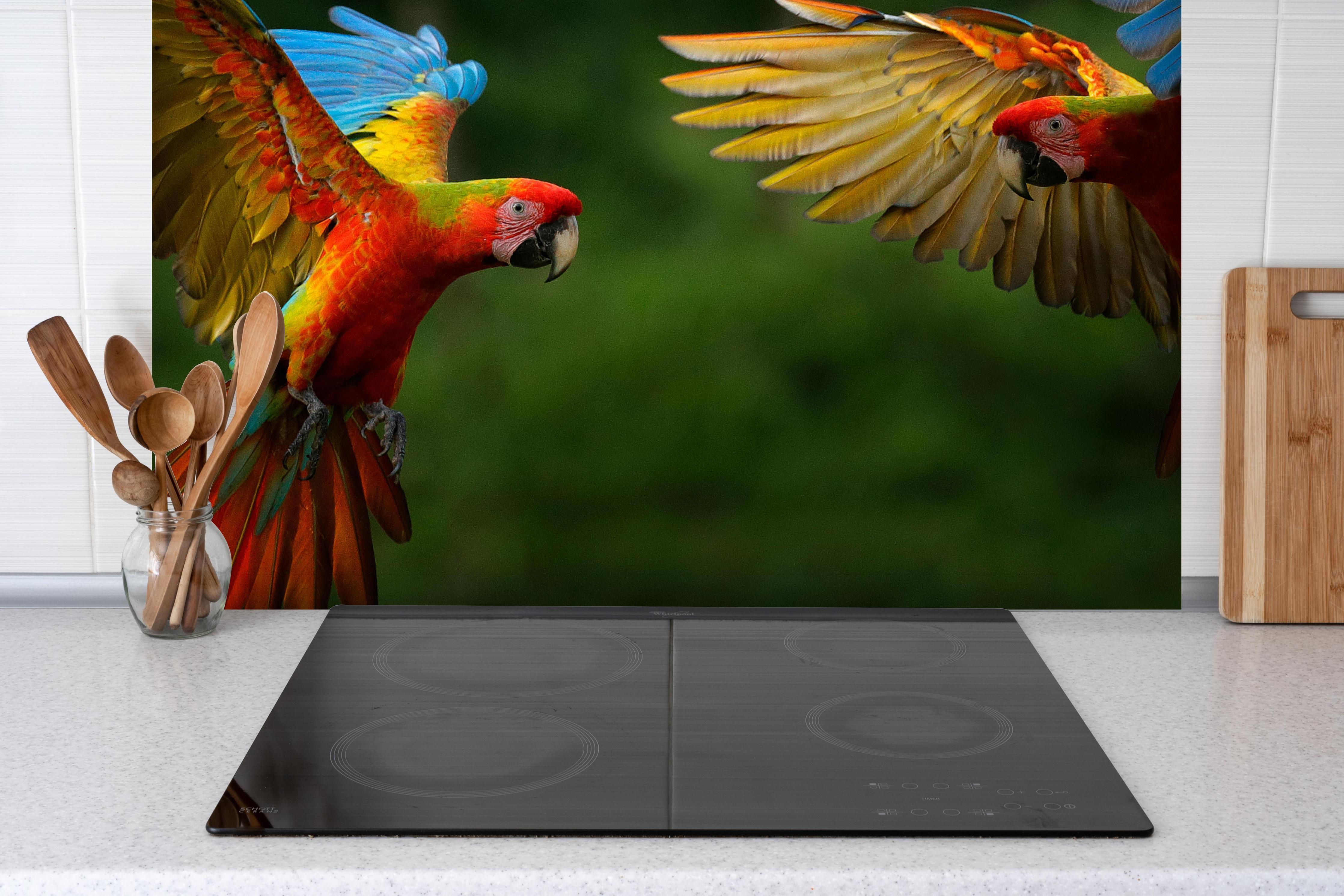 Spritzschutz - Fliegende bunte Papageien hinter einem Cerankochfeld zwischen Holz-Kochutensilien
