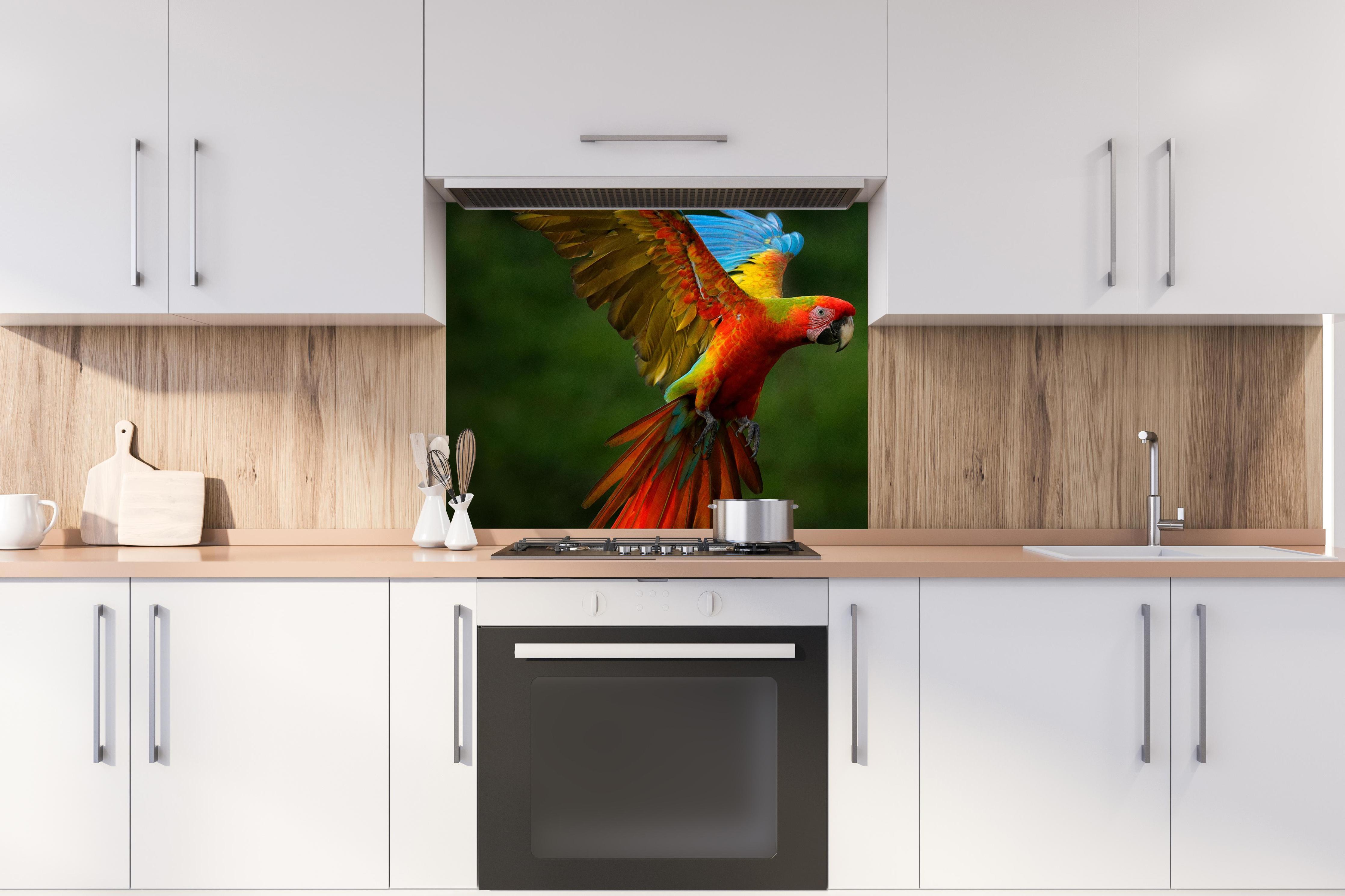 Spritzschutz - Fliegende bunte Papageien hinter stilvollem Gasherd unter Dunstabzugshaube
