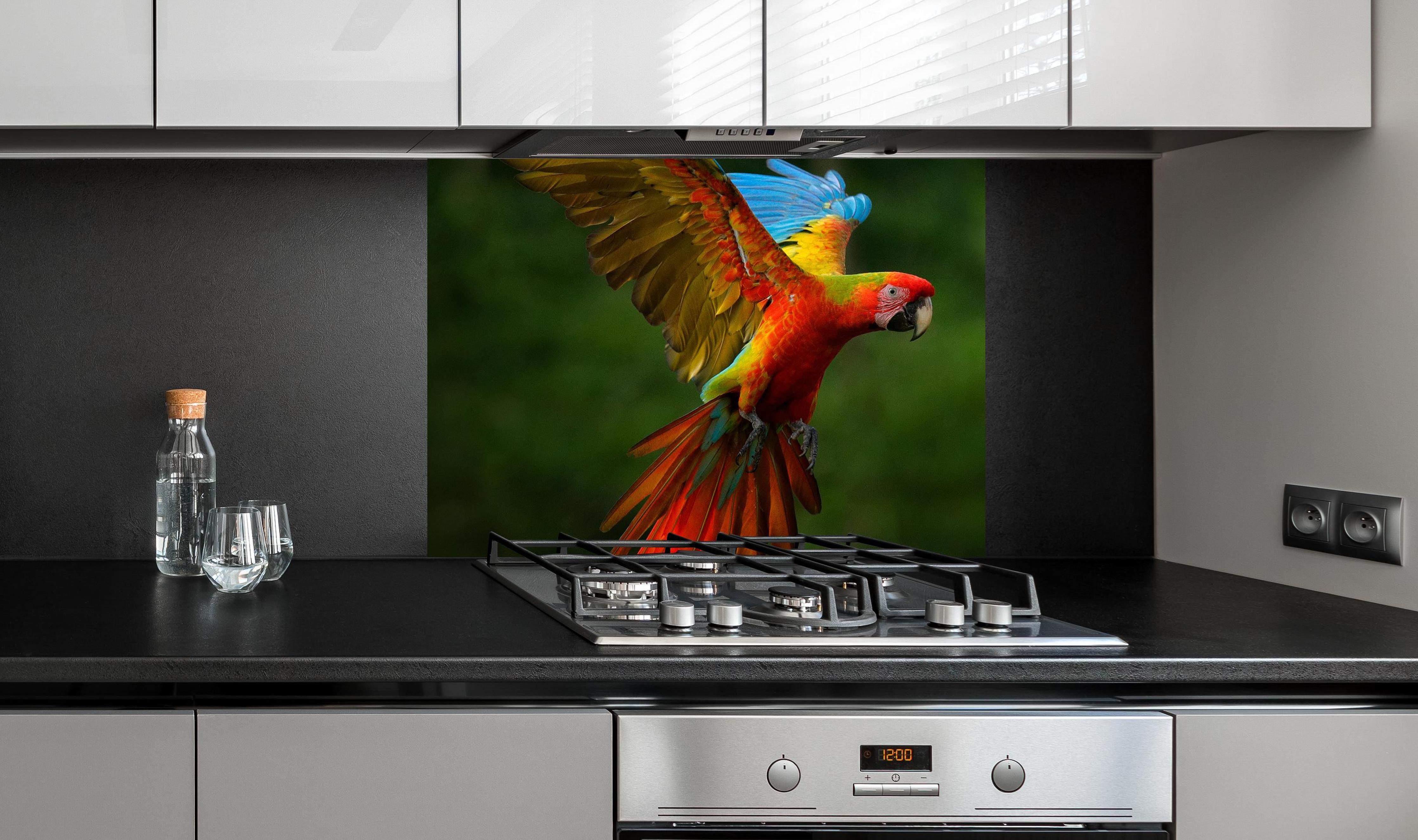Spritzschutz - Fliegende bunte Papageien an edler Anthrazit-Wand hinter silbernem Gasherd