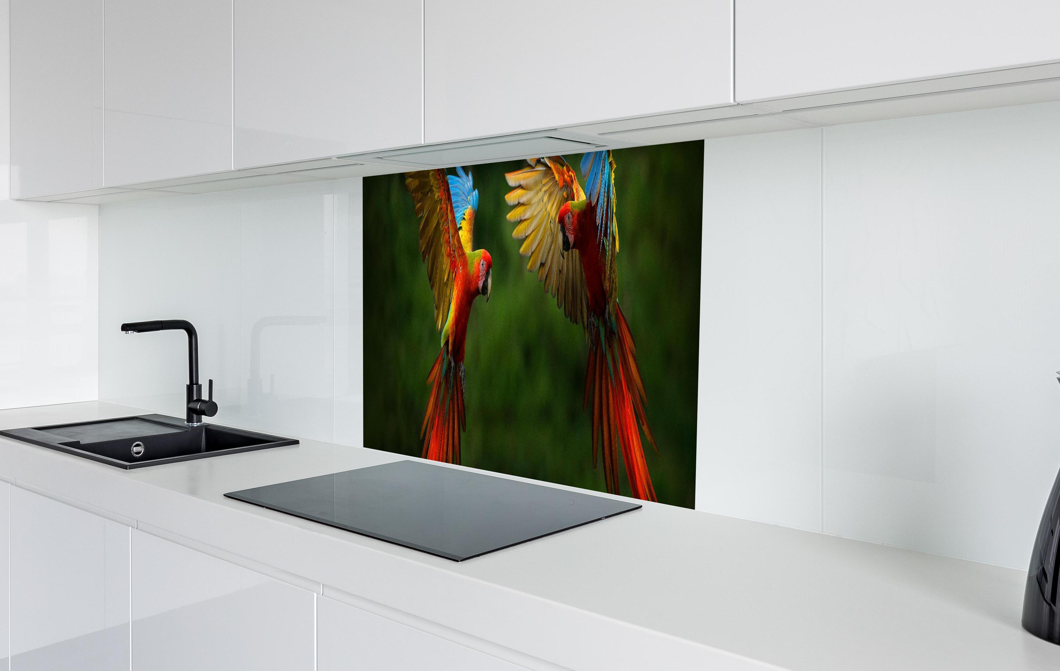 Spritzschutz - Fliegende bunte Papageien in weißer Hochglanz-Küche hinter einem Cerankochfeld