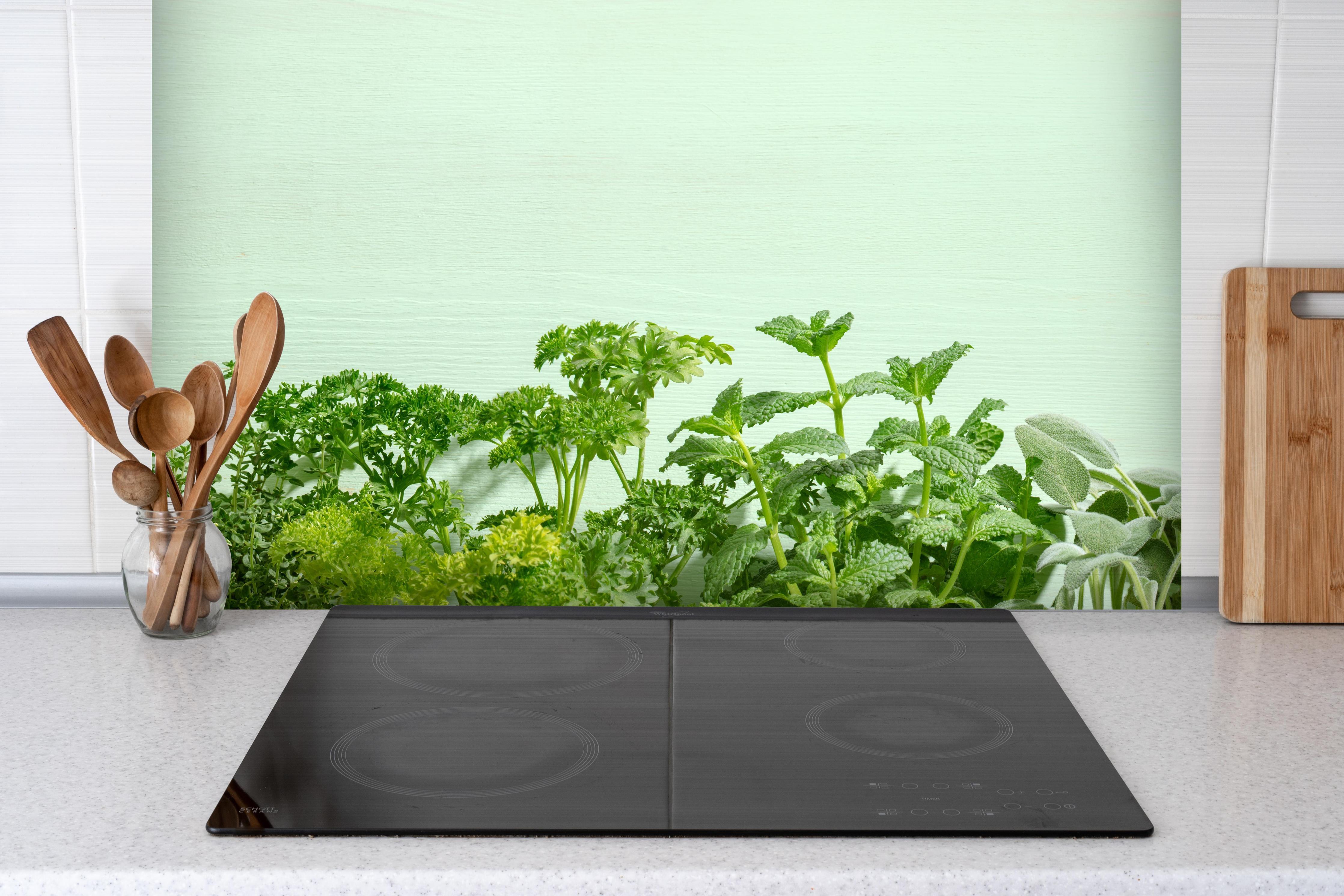 Spritzschutz - Frische Kräuter hinter einem Cerankochfeld zwischen Holz-Kochutensilien