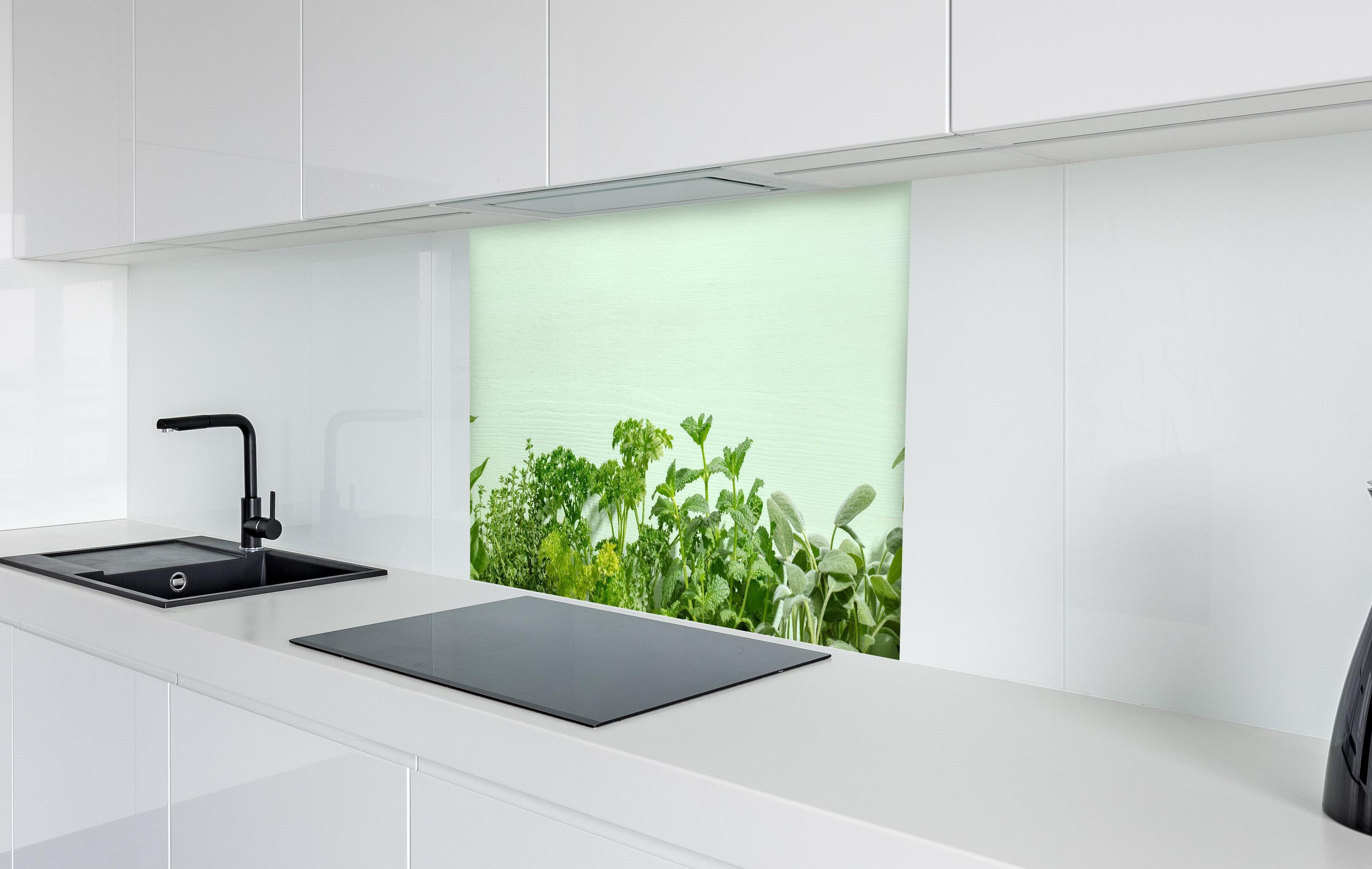 Spritzschutz - Frische Kräuter in weißer Hochglanz-Küche hinter einem Cerankochfeld