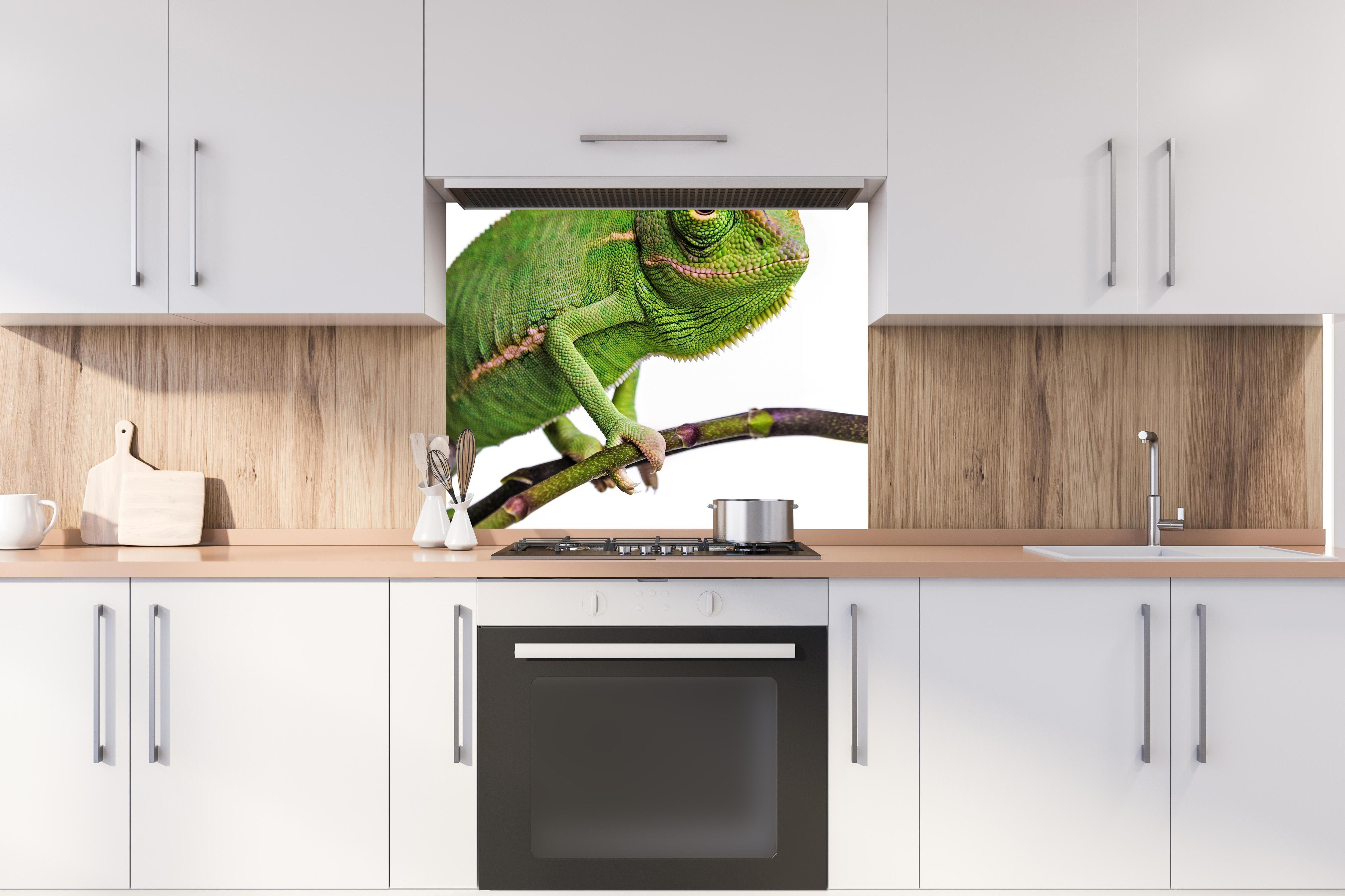 Spritzschutz - Fröhliche Chamäleons hinter stilvollem Gasherd unter Dunstabzugshaube