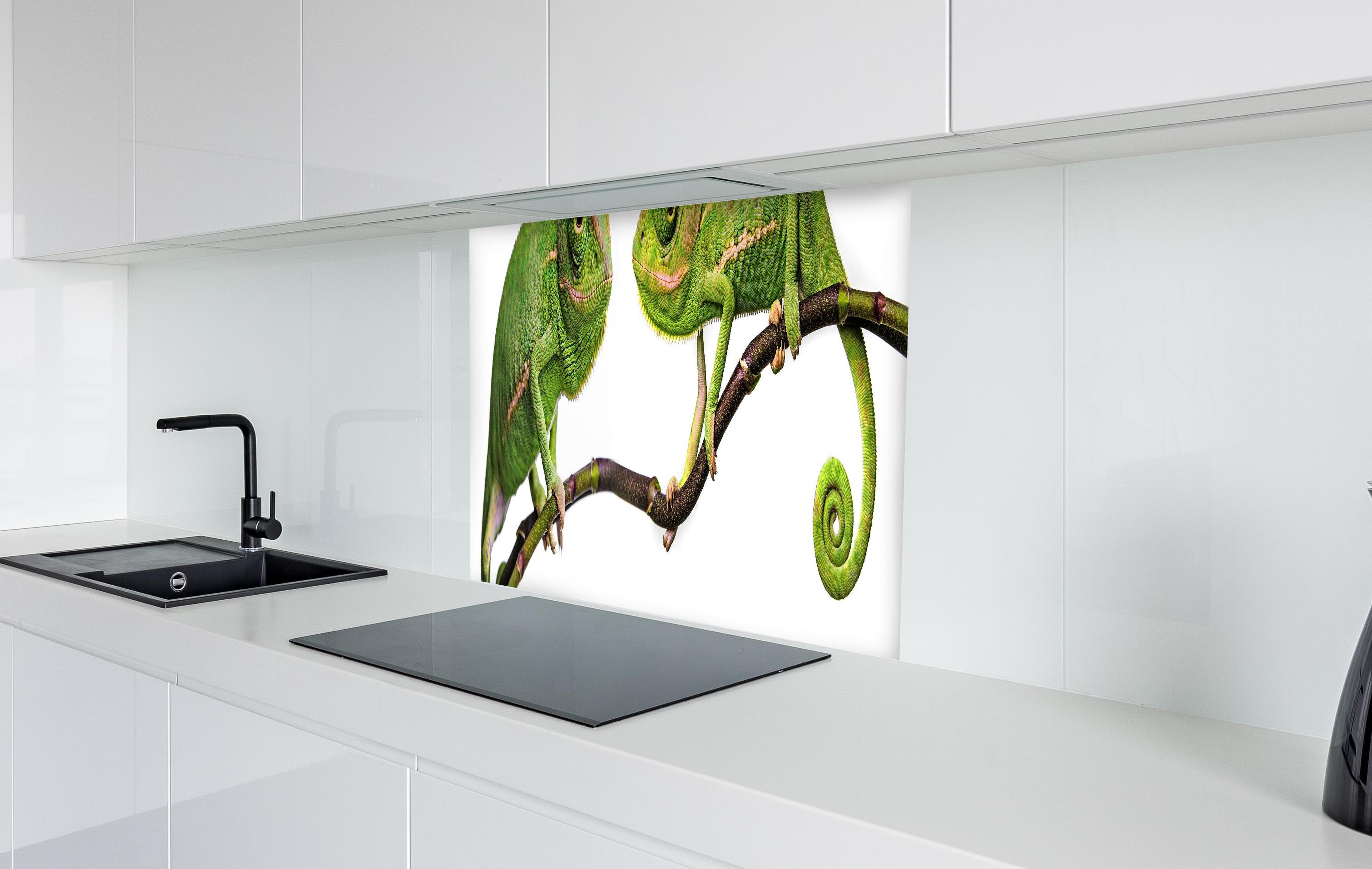 Spritzschutz - Fröhliche Chamäleons in weißer Hochglanz-Küche hinter einem Cerankochfeld