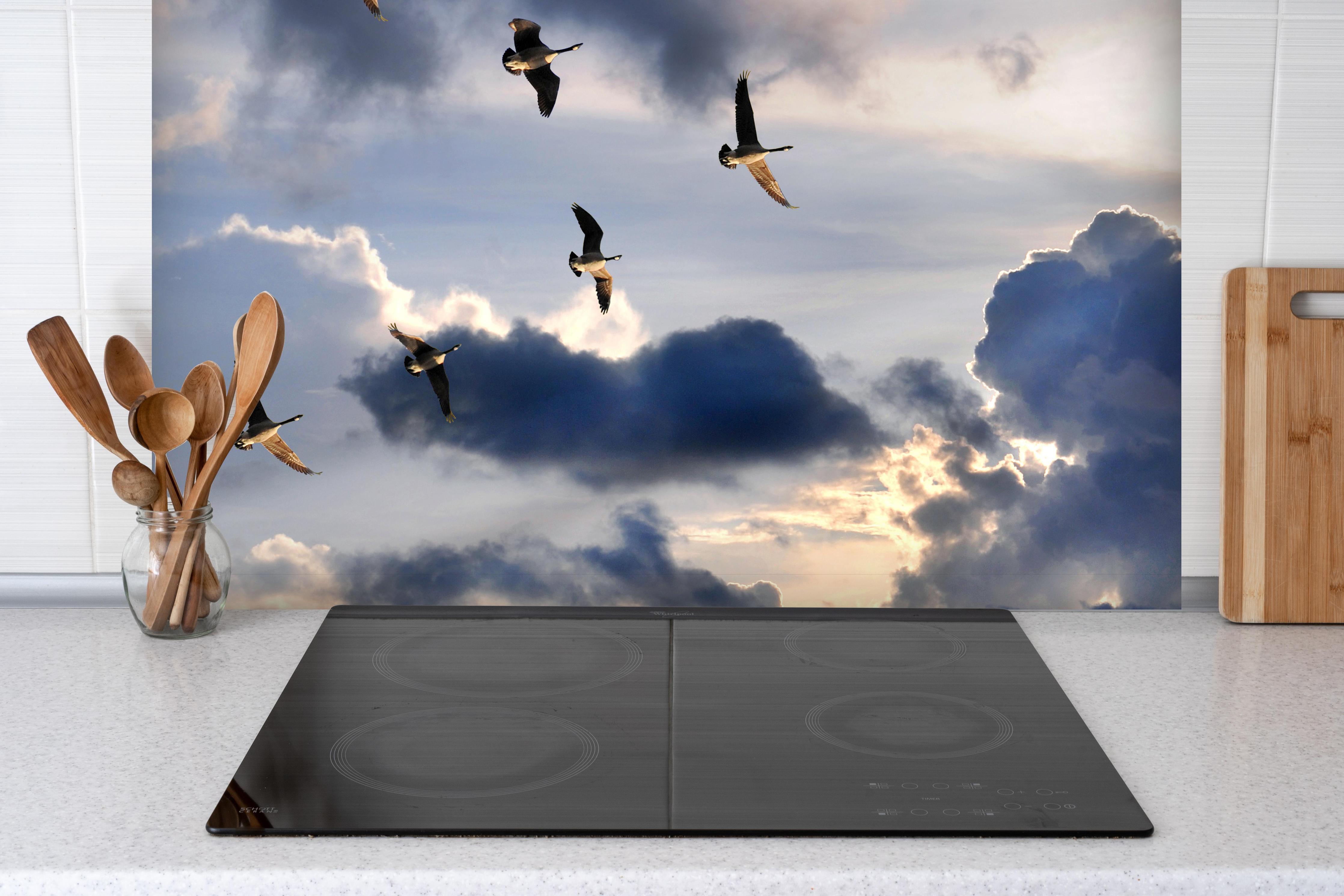 Spritzschutz - Gänse in V-Formation fliegend hinter einem Cerankochfeld zwischen Holz-Kochutensilien