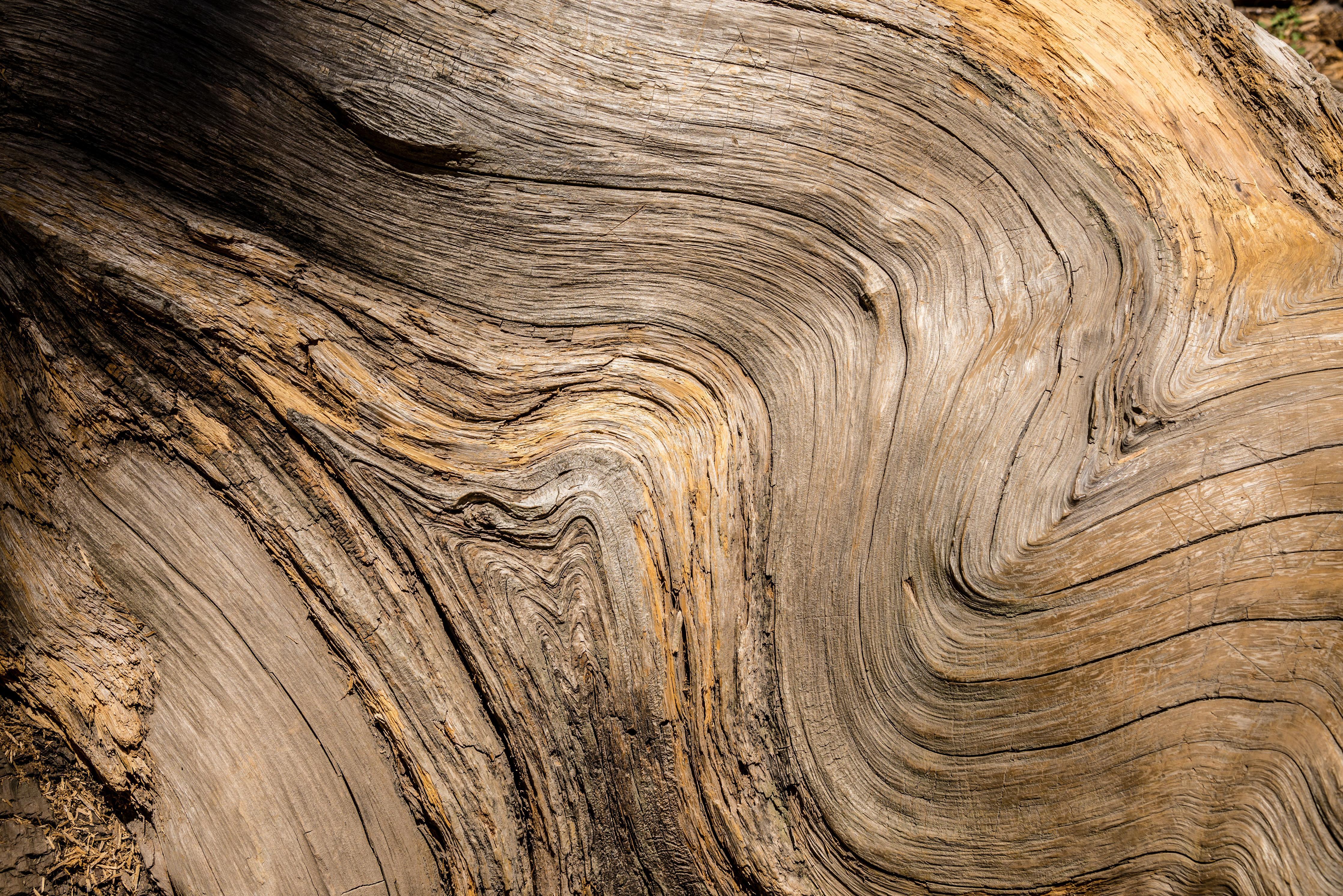 Spritzschutz-Geschwungenes Naturholz