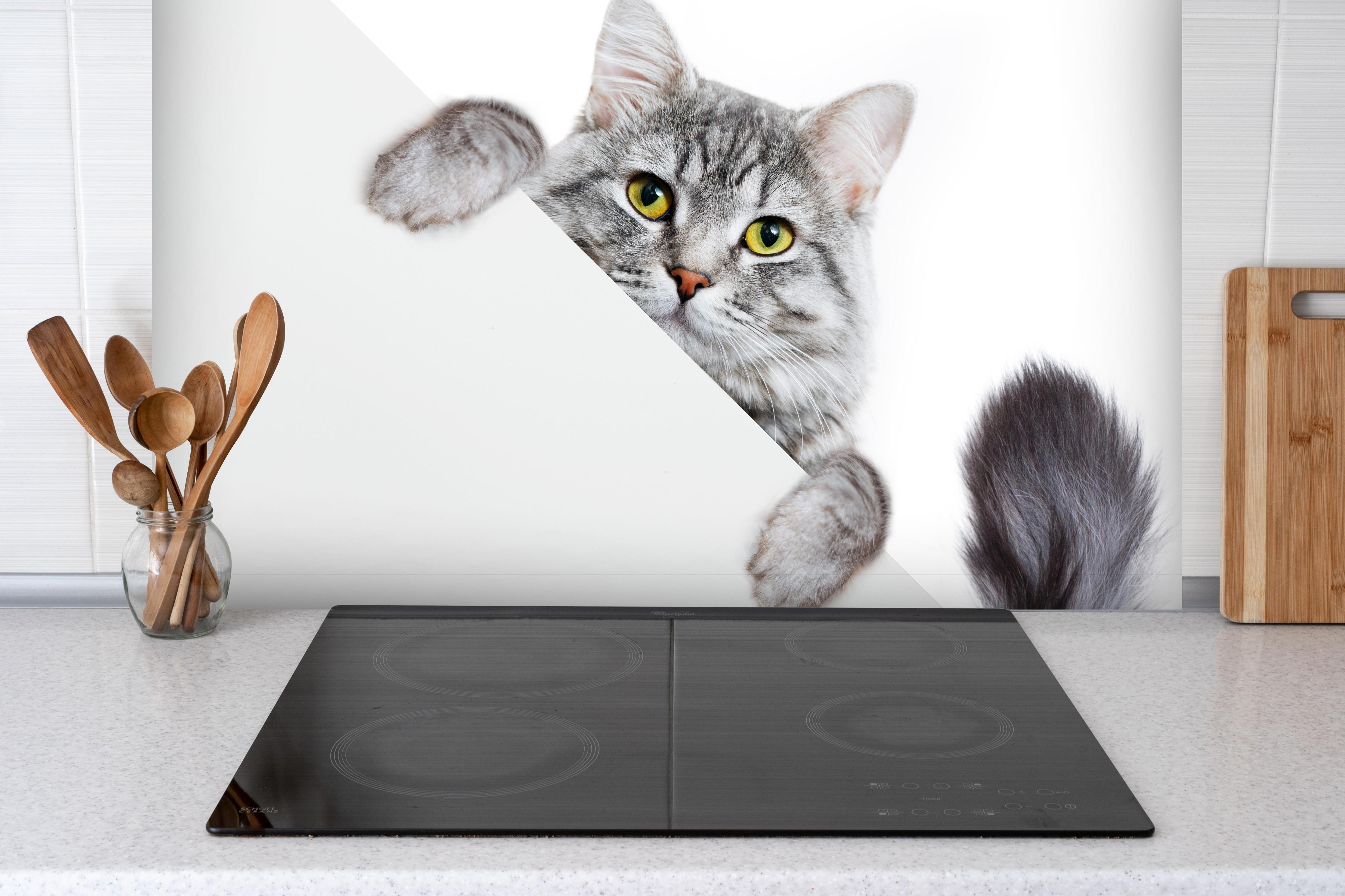 Spritzschutz - Getigertes Kätzchen hinter einem Cerankochfeld zwischen Holz-Kochutensilien