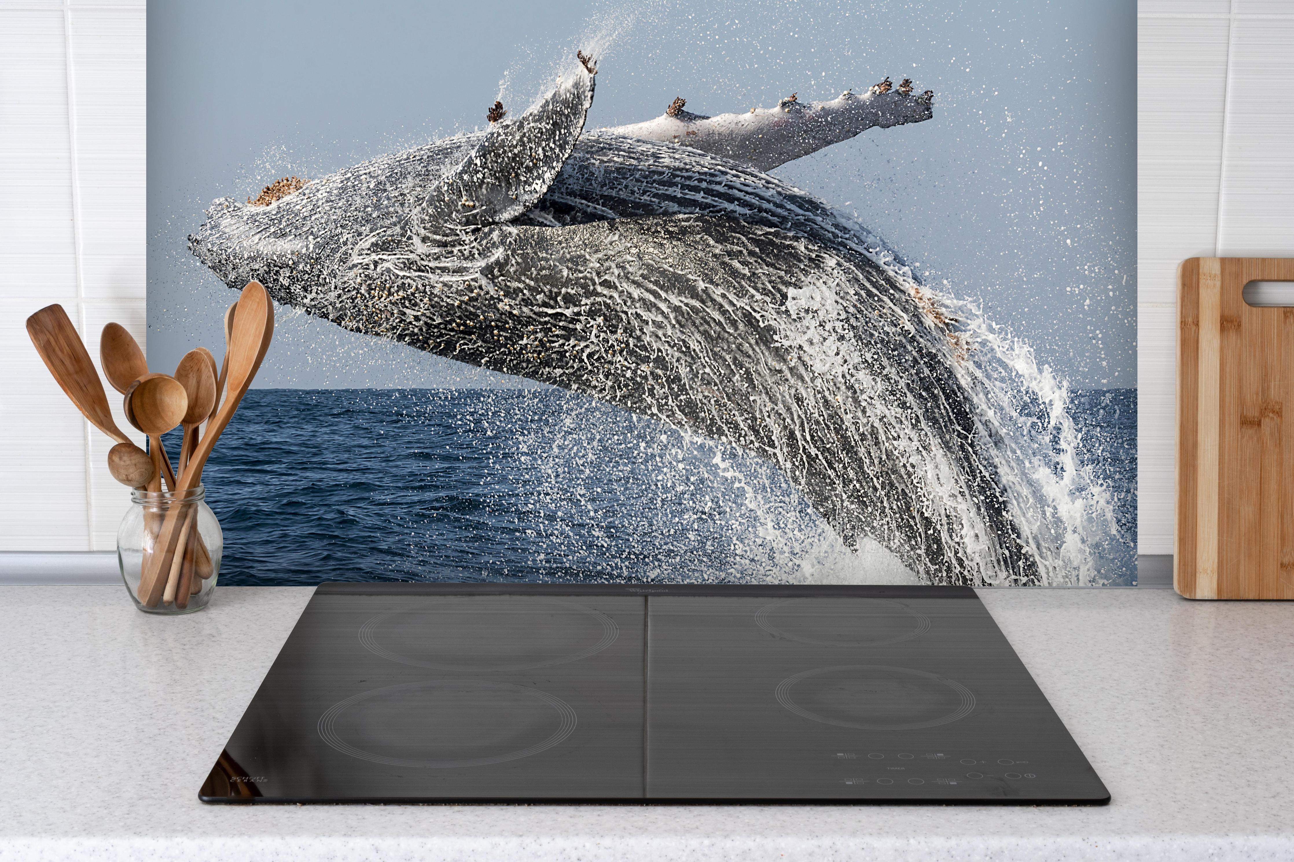 Spritzschutz - Großer Buckelwal beim Auftauchen hinter einem Cerankochfeld zwischen Holz-Kochutensilien