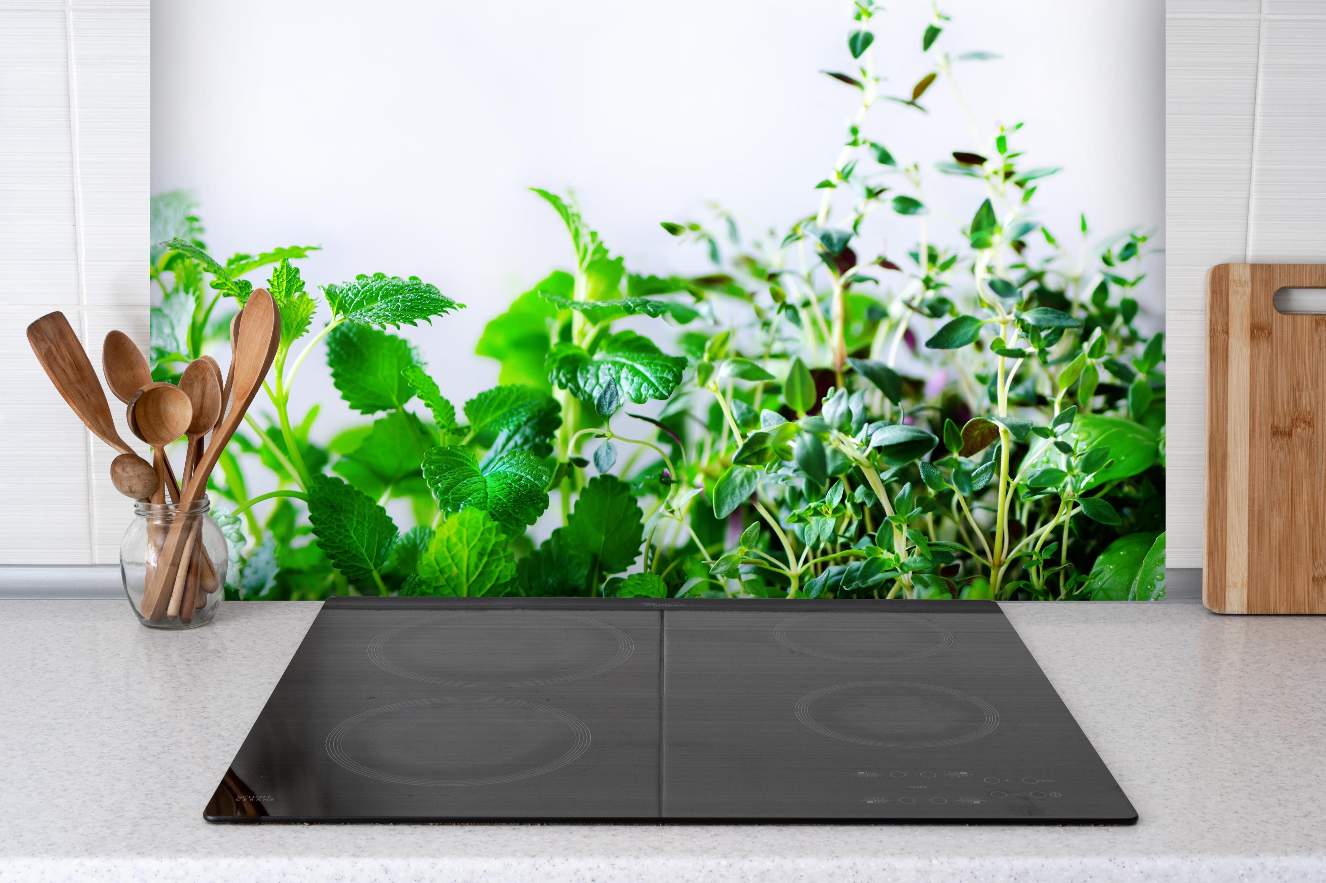 Spritzschutz - Grüne frische Kräuter hinter einem Cerankochfeld zwischen Holz-Kochutensilien