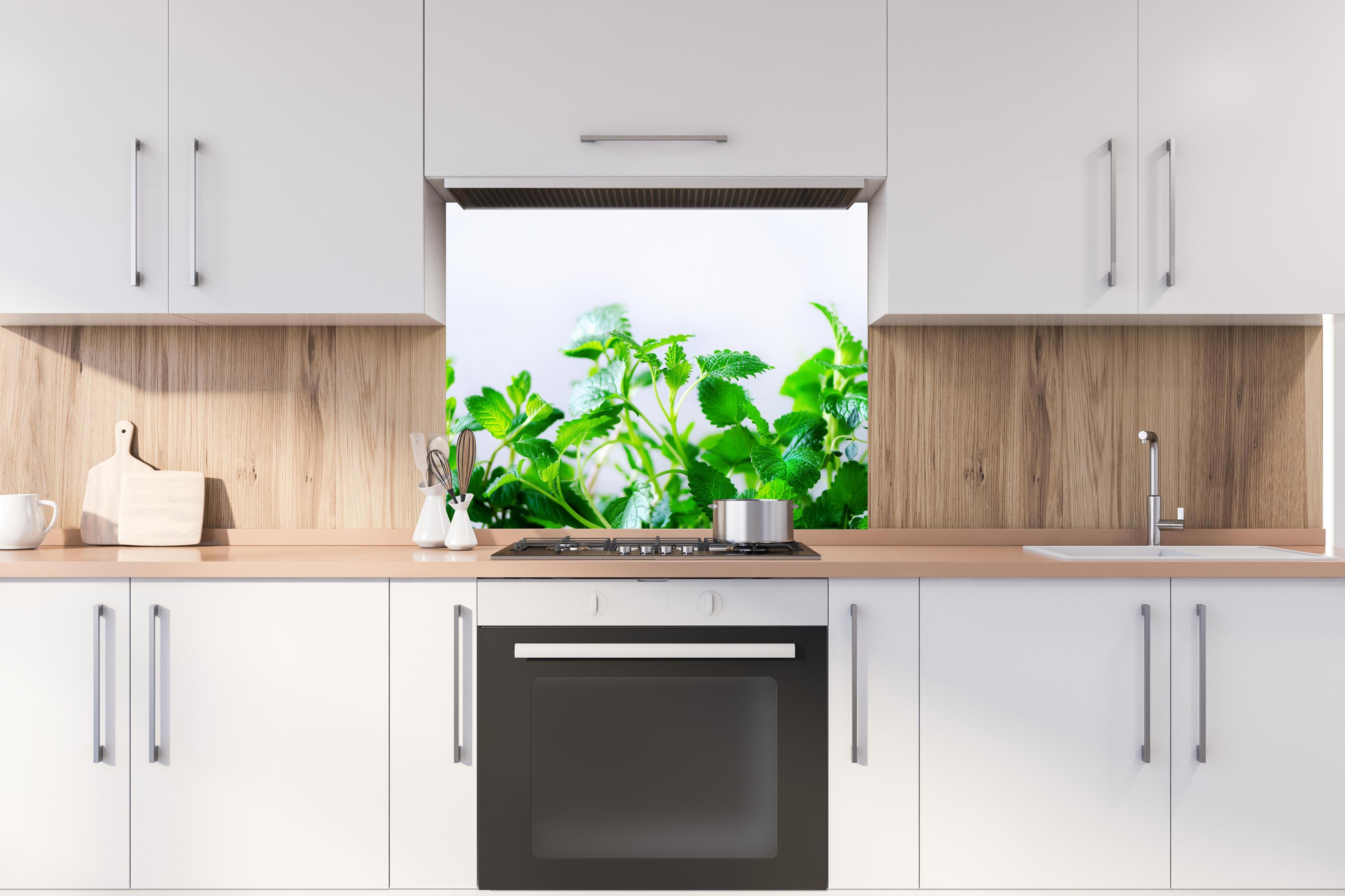 Spritzschutz - Grüne frische Kräuter hinter stilvollem Gasherd unter Dunstabzugshaube
