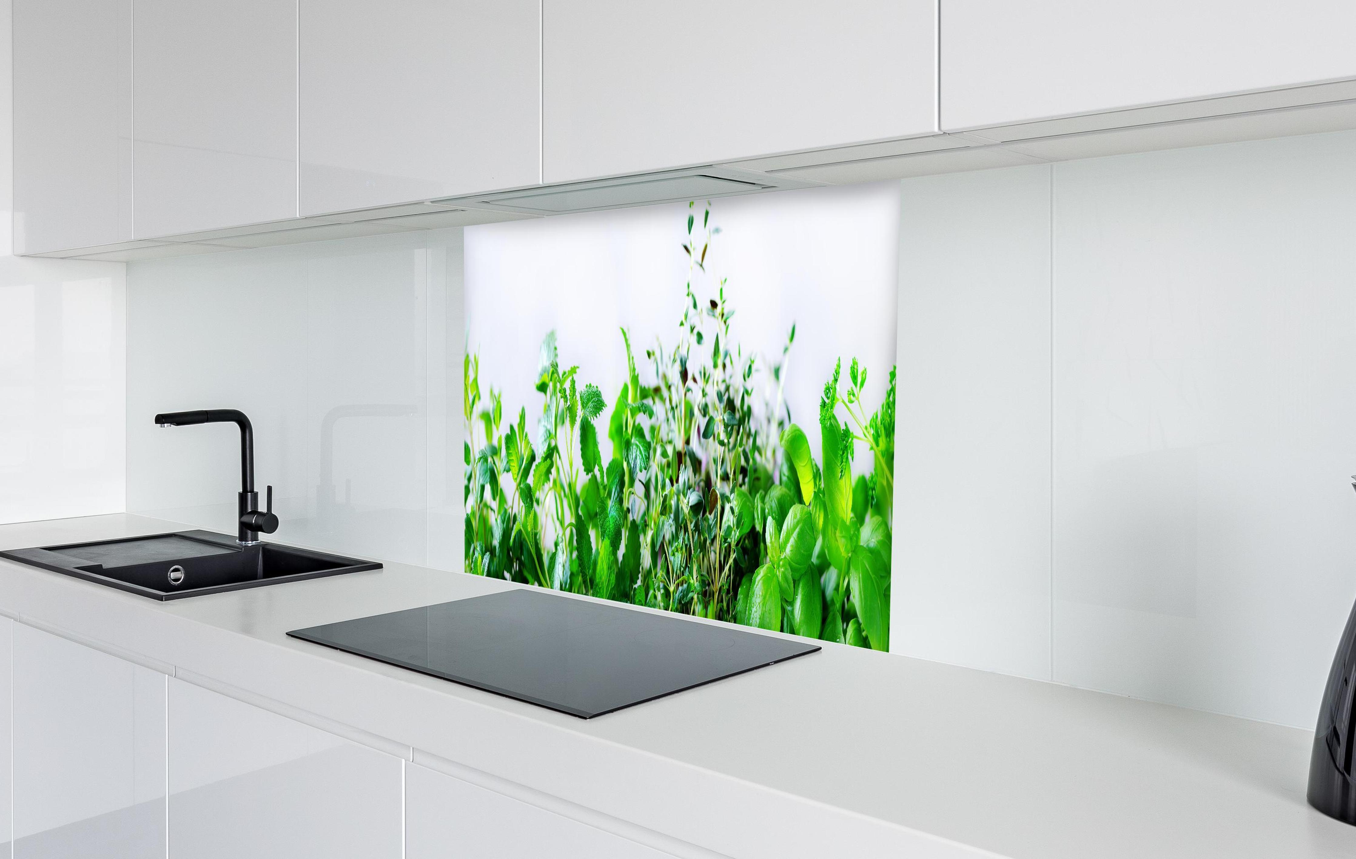Spritzschutz - Grüne frische Kräuter in weißer Hochglanz-Küche hinter einem Cerankochfeld
