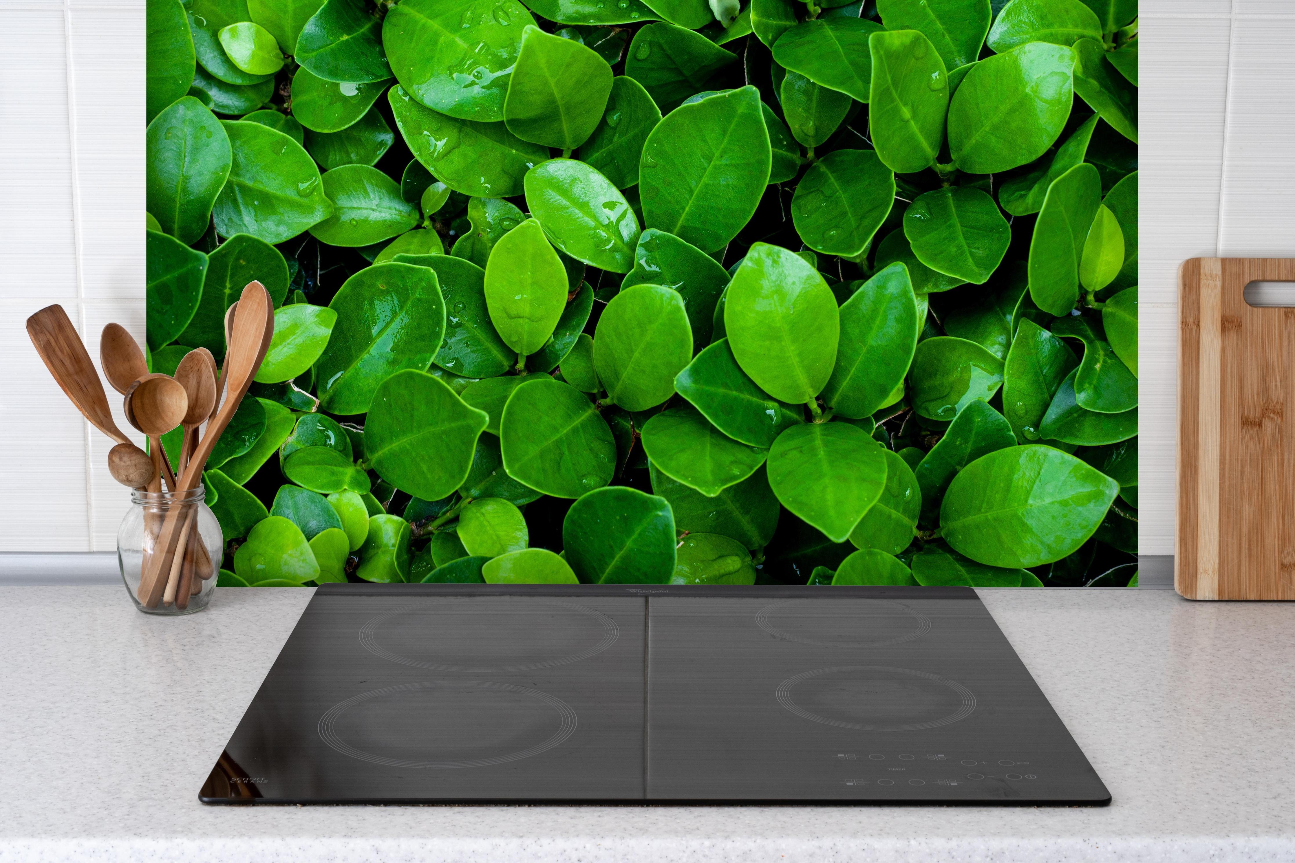 Spritzschutz - Grüne saftige Busch Blätter hinter einem Cerankochfeld zwischen Holz-Kochutensilien