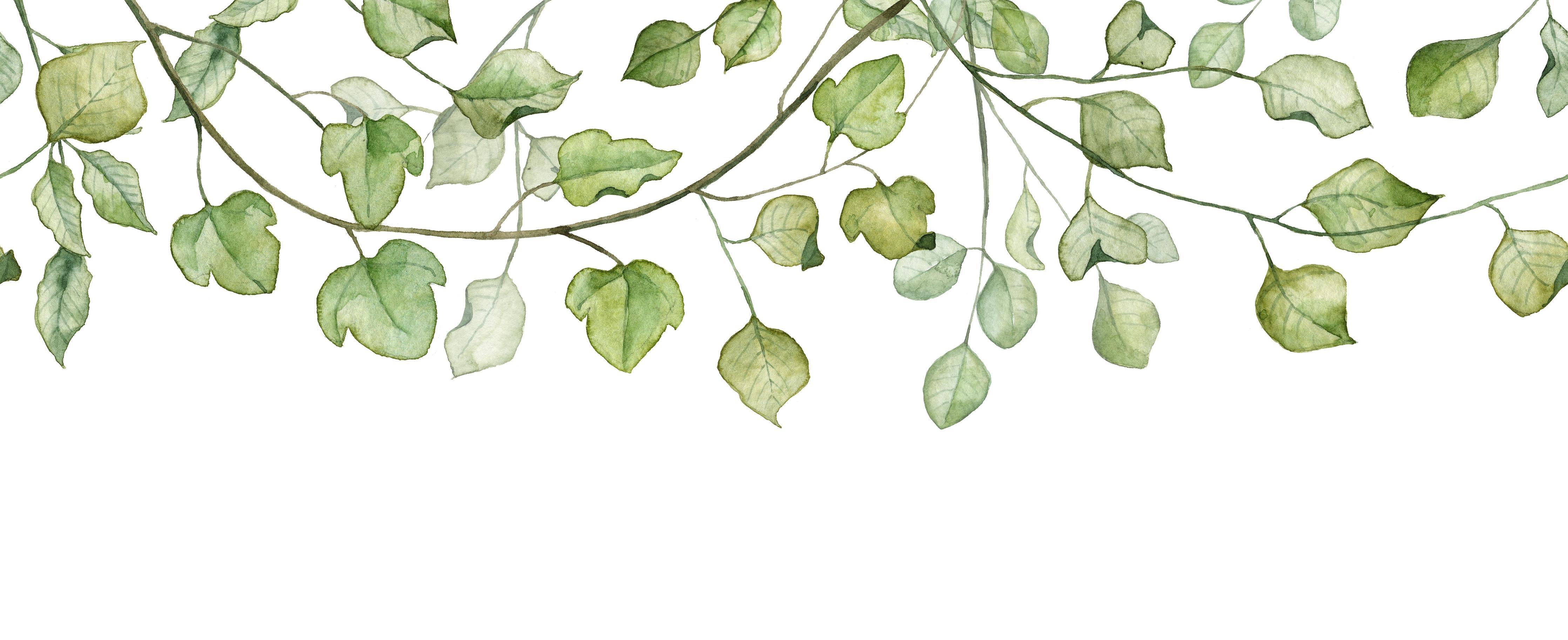 Spritzschutz-Hängende Blätter an Ästen Aquarell