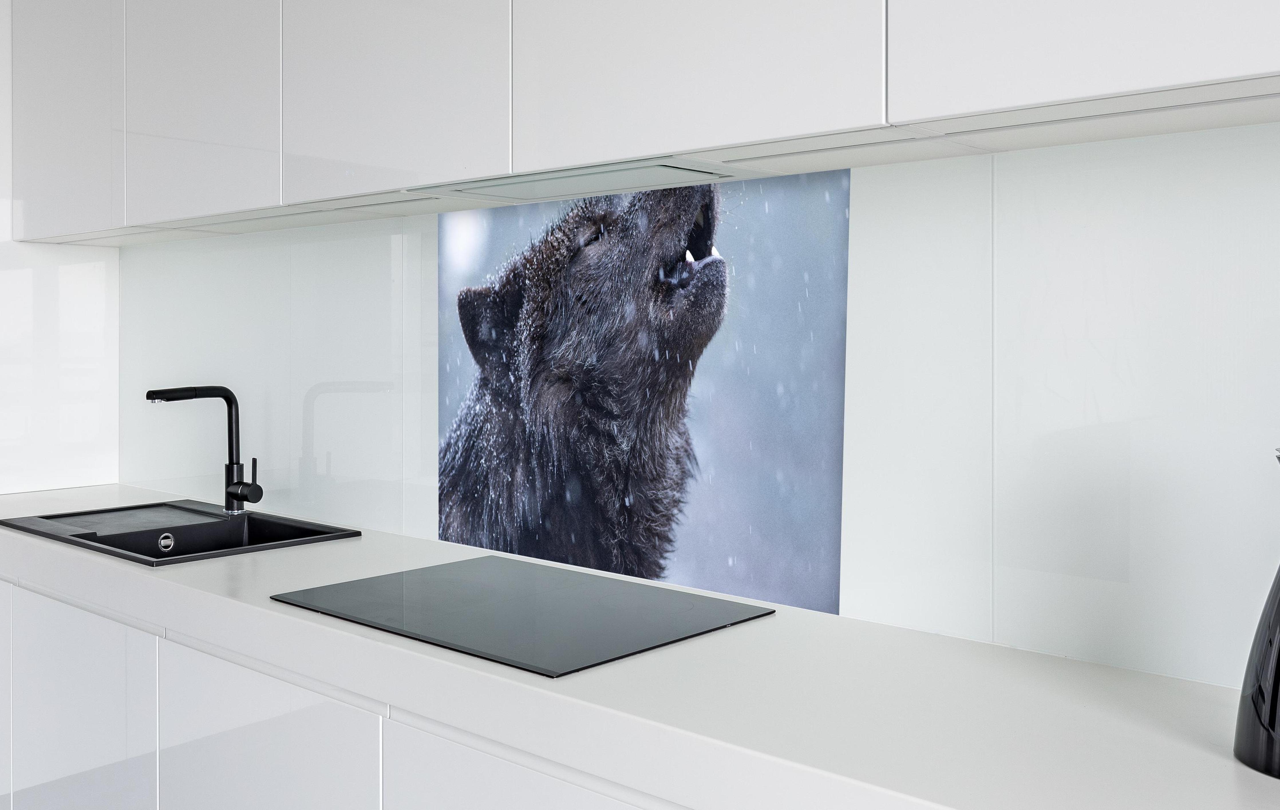 Spritzschutz - Heulender Wolf im Winter in weißer Hochglanz-Küche hinter einem Cerankochfeld