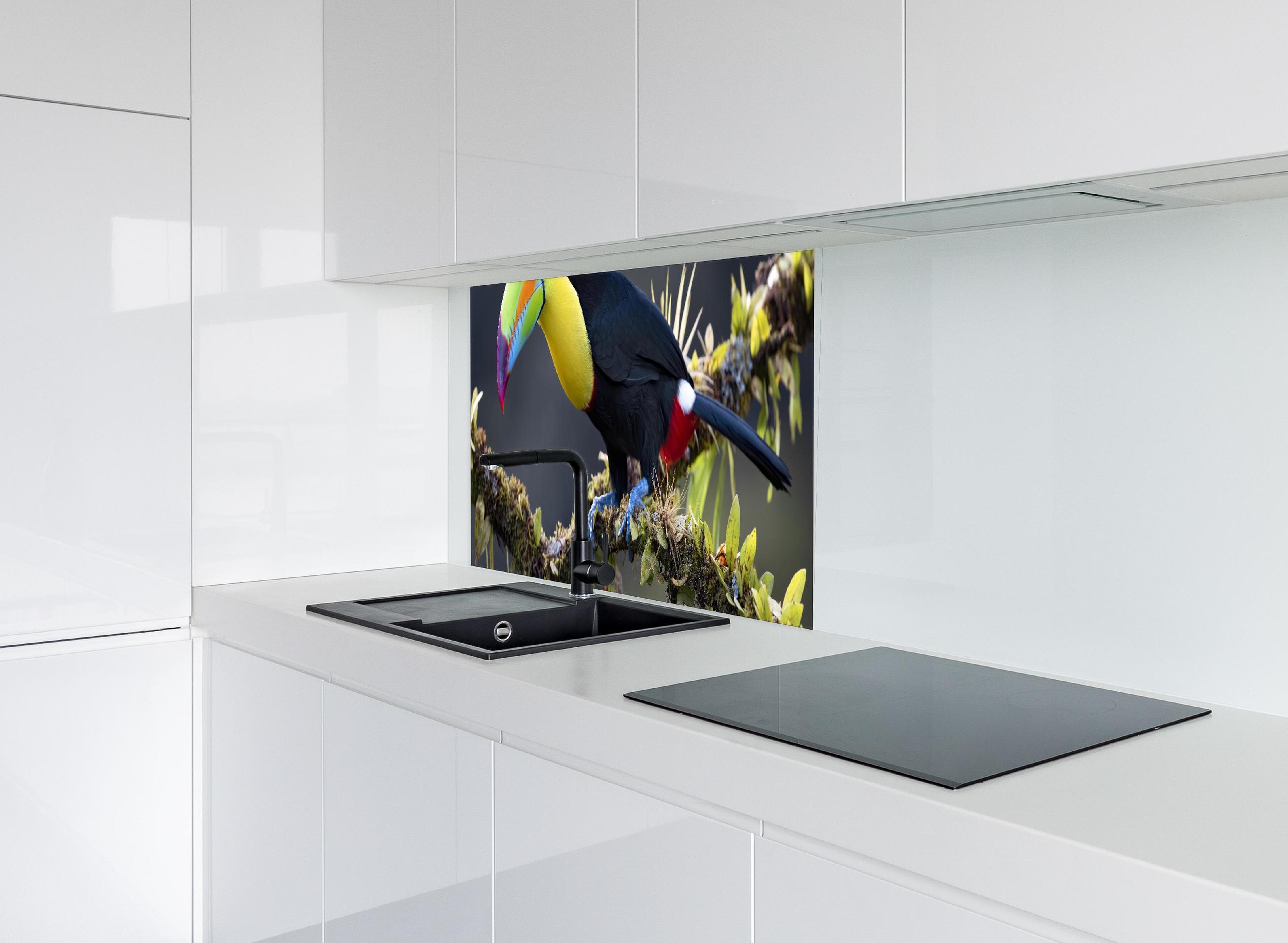 Spritzschutz - Kielschnabeltukan auf Ast hinter modernem schwarz-matten Spülbecken in weißer Hochglanz-Küche