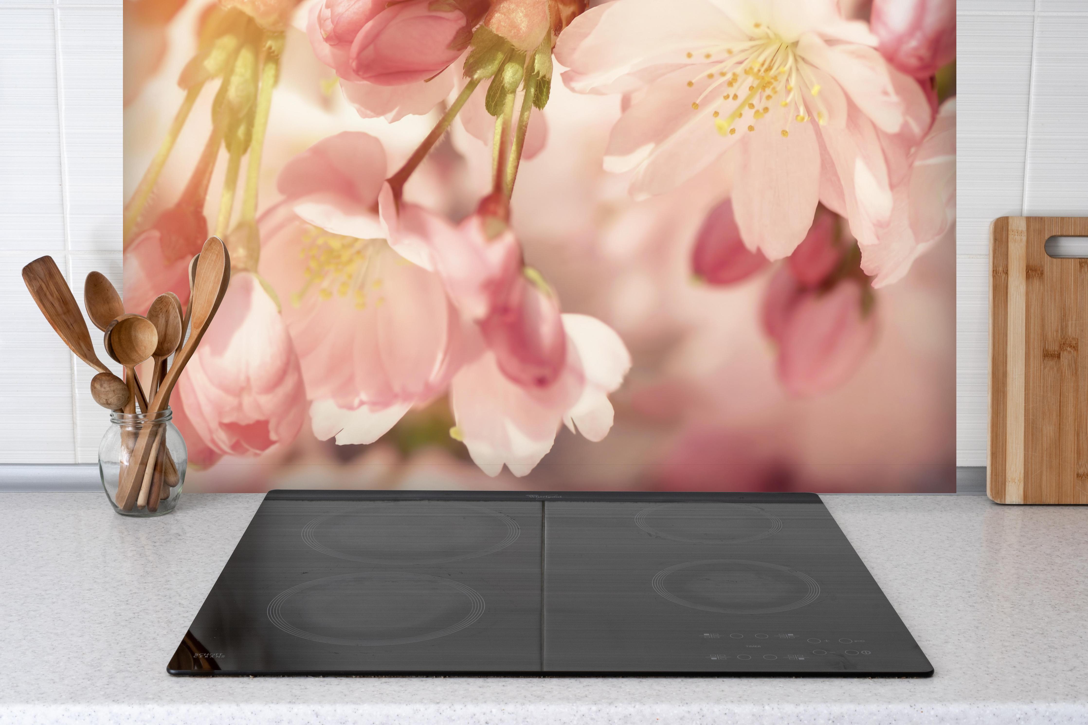 Spritzschutz - Kirschblüten im Sonnenlicht hinter einem Cerankochfeld zwischen Holz-Kochutensilien