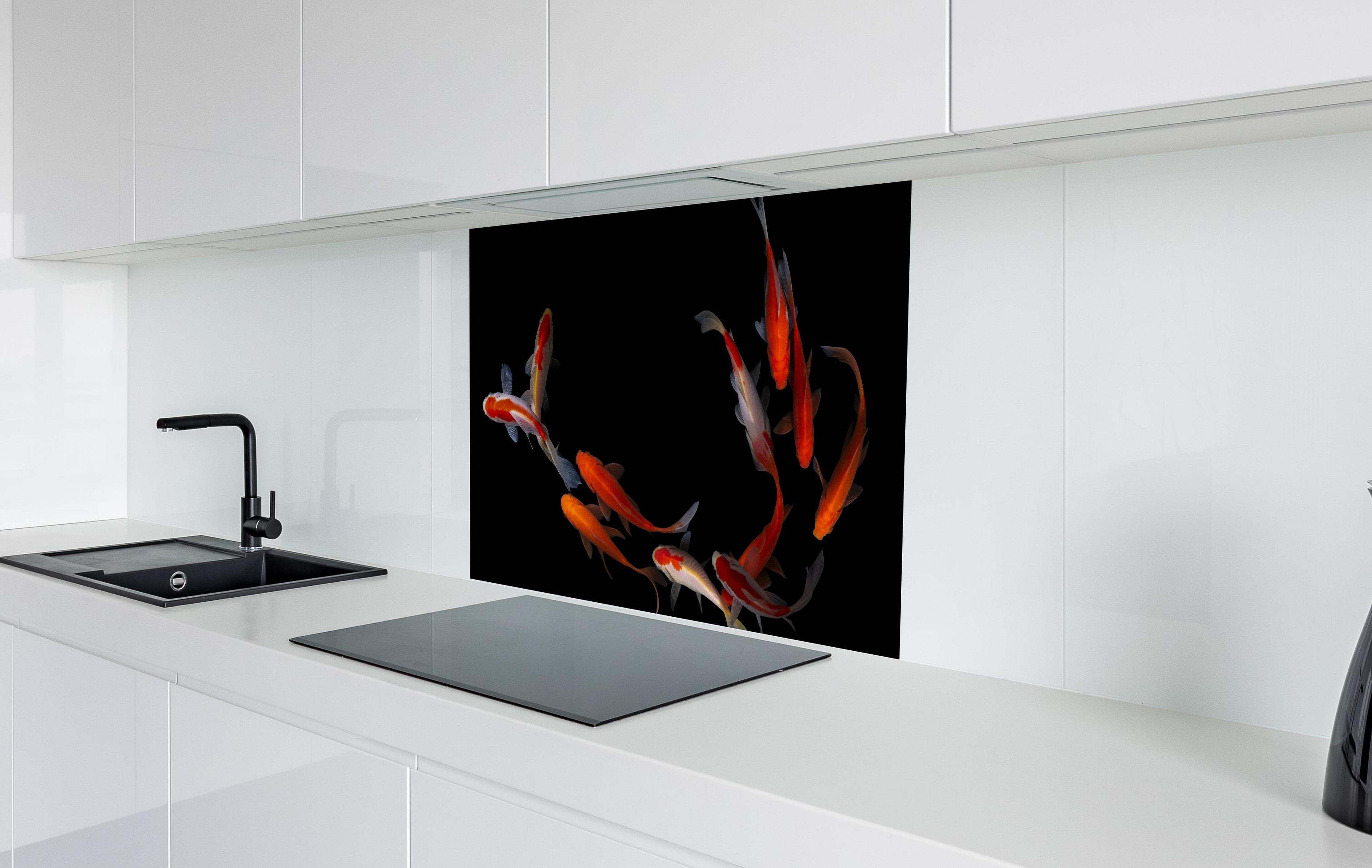 Spritzschutz - Koi Fische auf schwarzem Hintergrund in weißer Hochglanz-Küche hinter einem Cerankochfeld