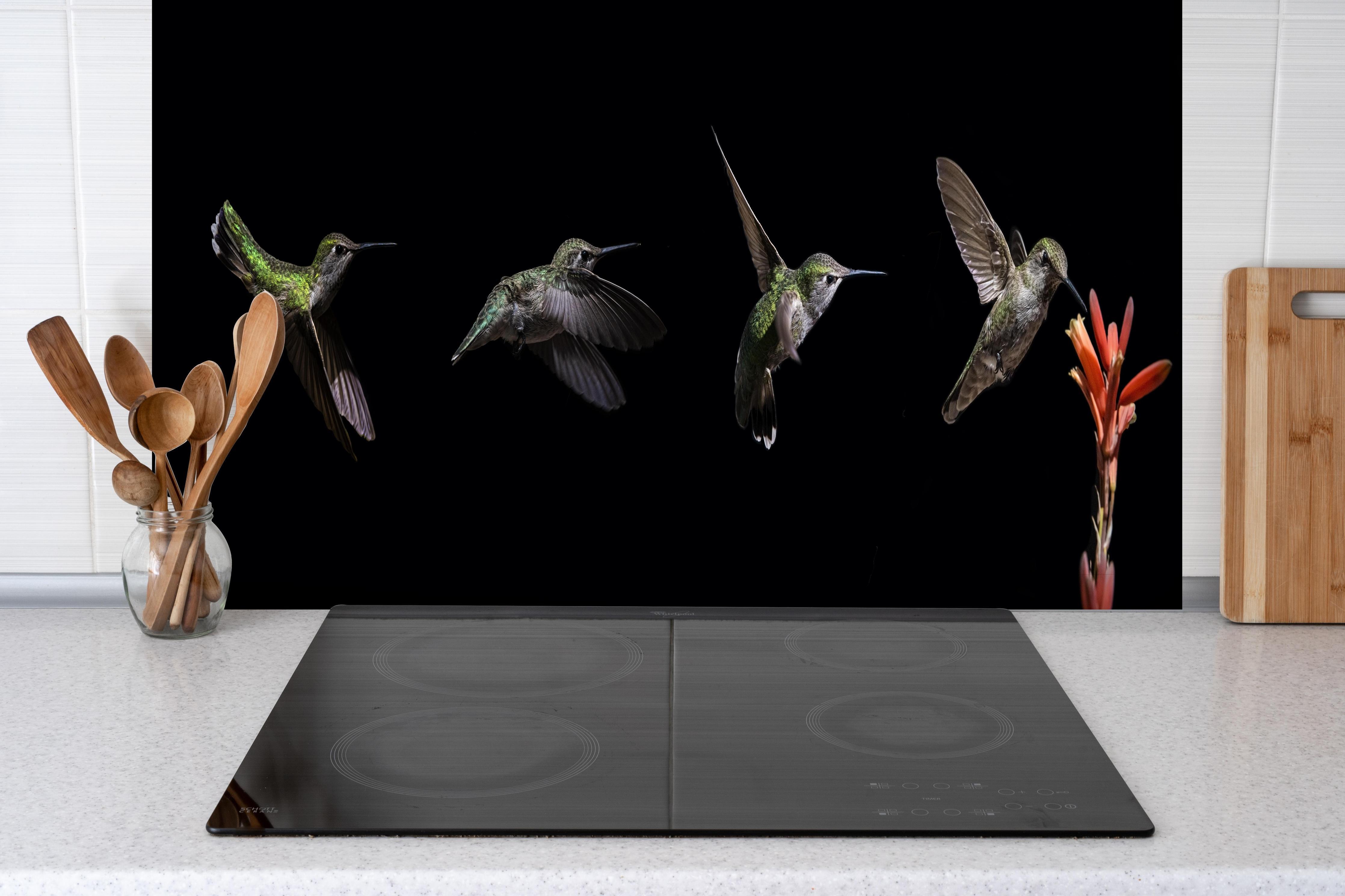 Spritzschutz - Kolibri beim Fressen der Aloe Vera-Blüte hinter einem Cerankochfeld zwischen Holz-Kochutensilien