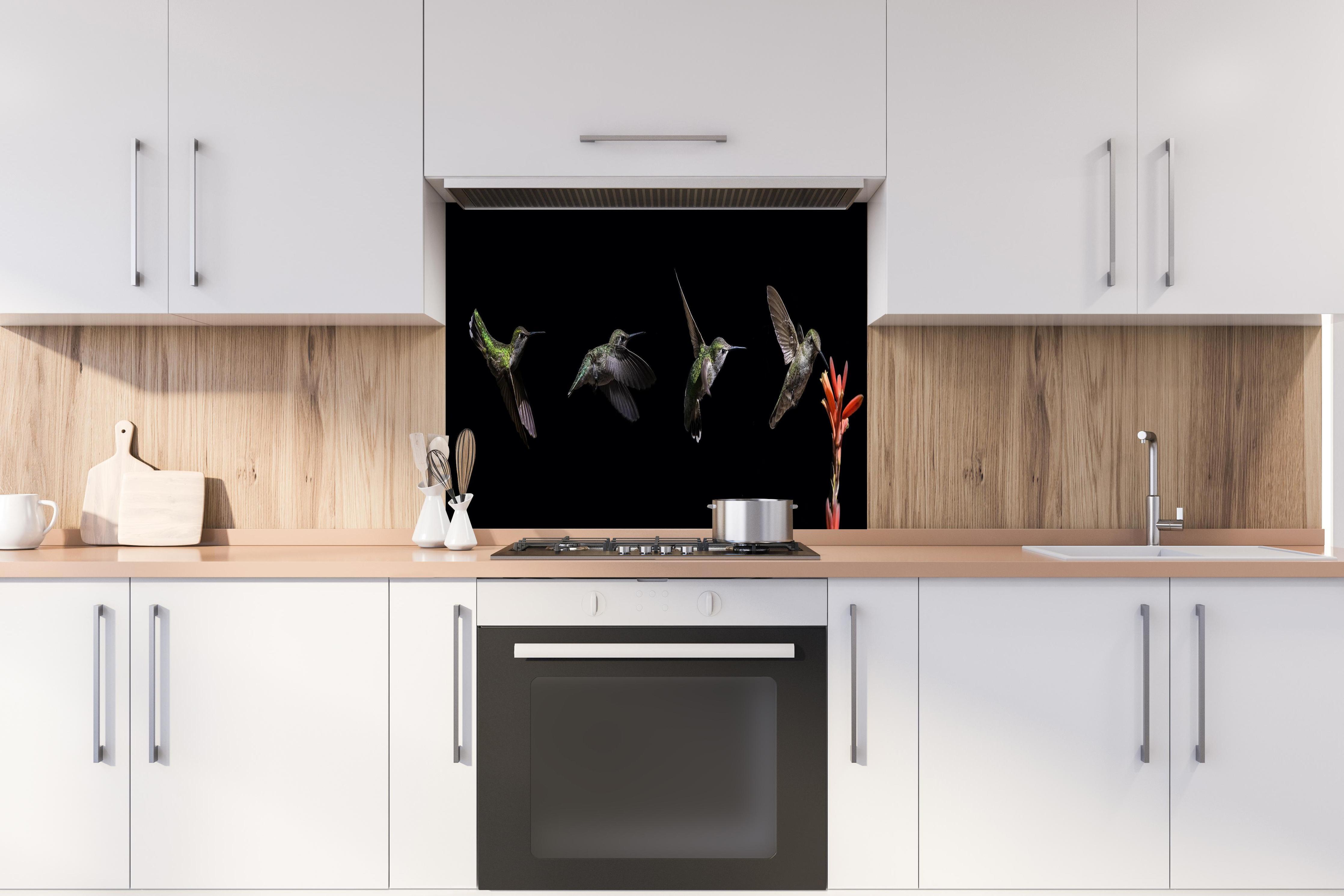 Spritzschutz - Kolibri beim Fressen der Aloe Vera-Blüte hinter stilvollem Gasherd unter Dunstabzugshaube