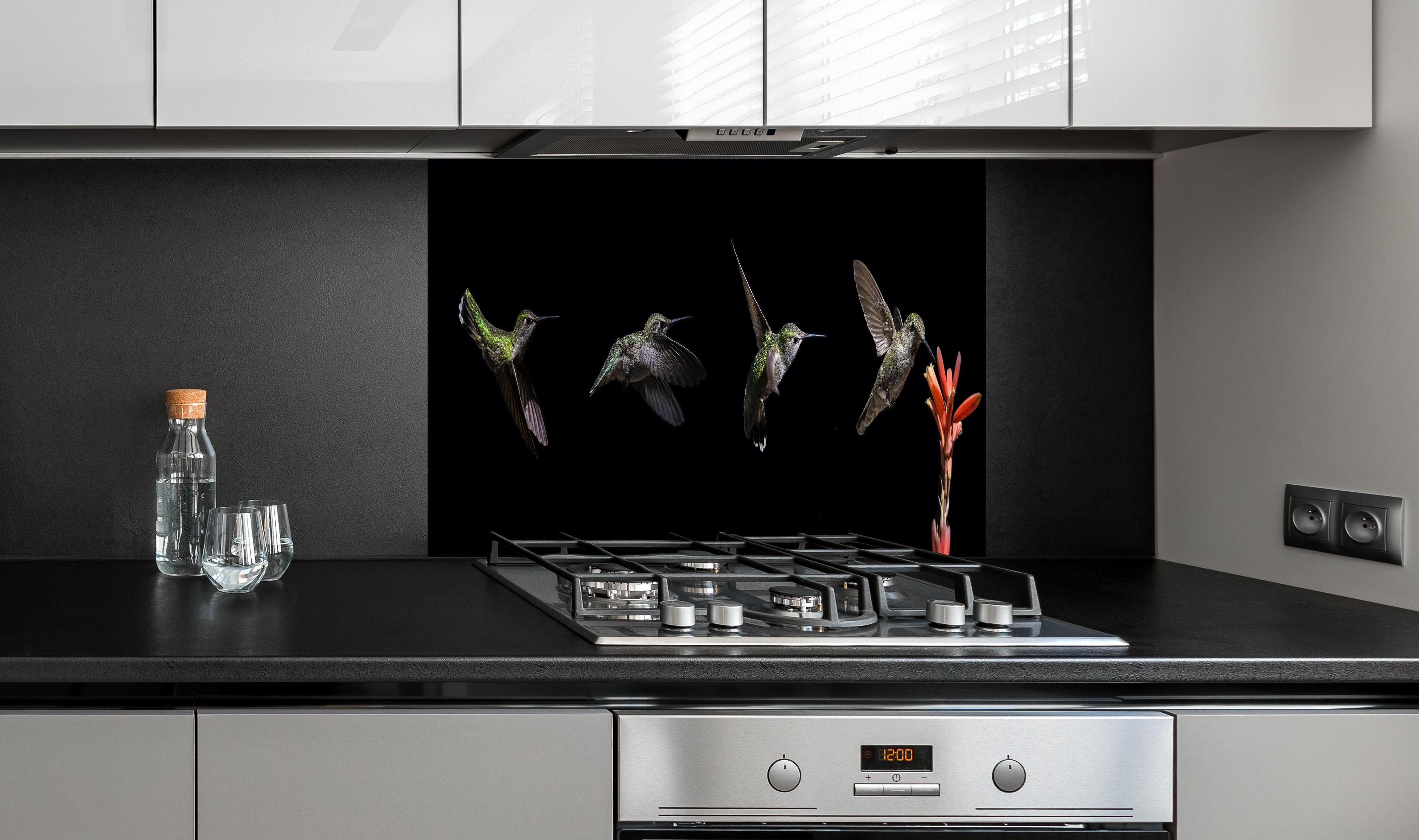 Spritzschutz - Kolibri beim Fressen der Aloe Vera-Blüte an edler Anthrazit-Wand hinter silbernem Gasherd