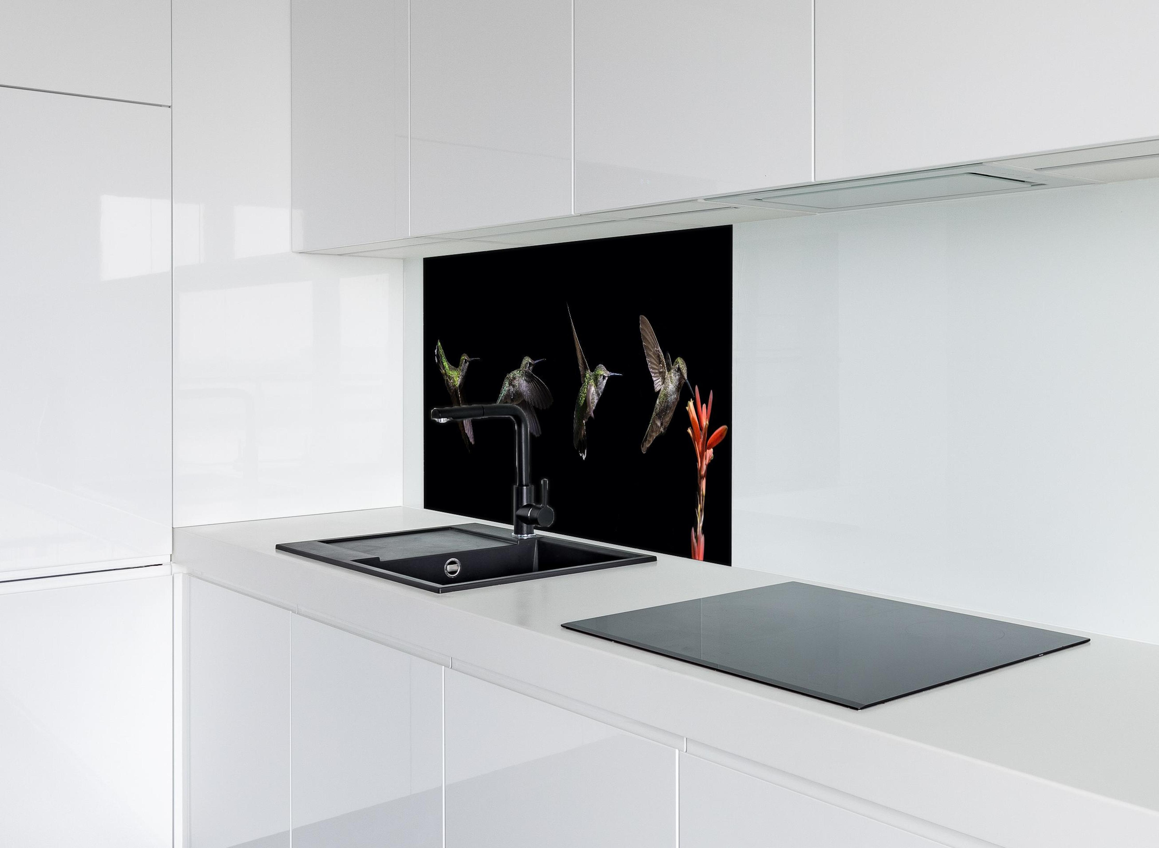 Spritzschutz - Kolibri beim Fressen der Aloe Vera-Blüte hinter modernem schwarz-matten Spülbecken in weißer Hochglanz-Küche