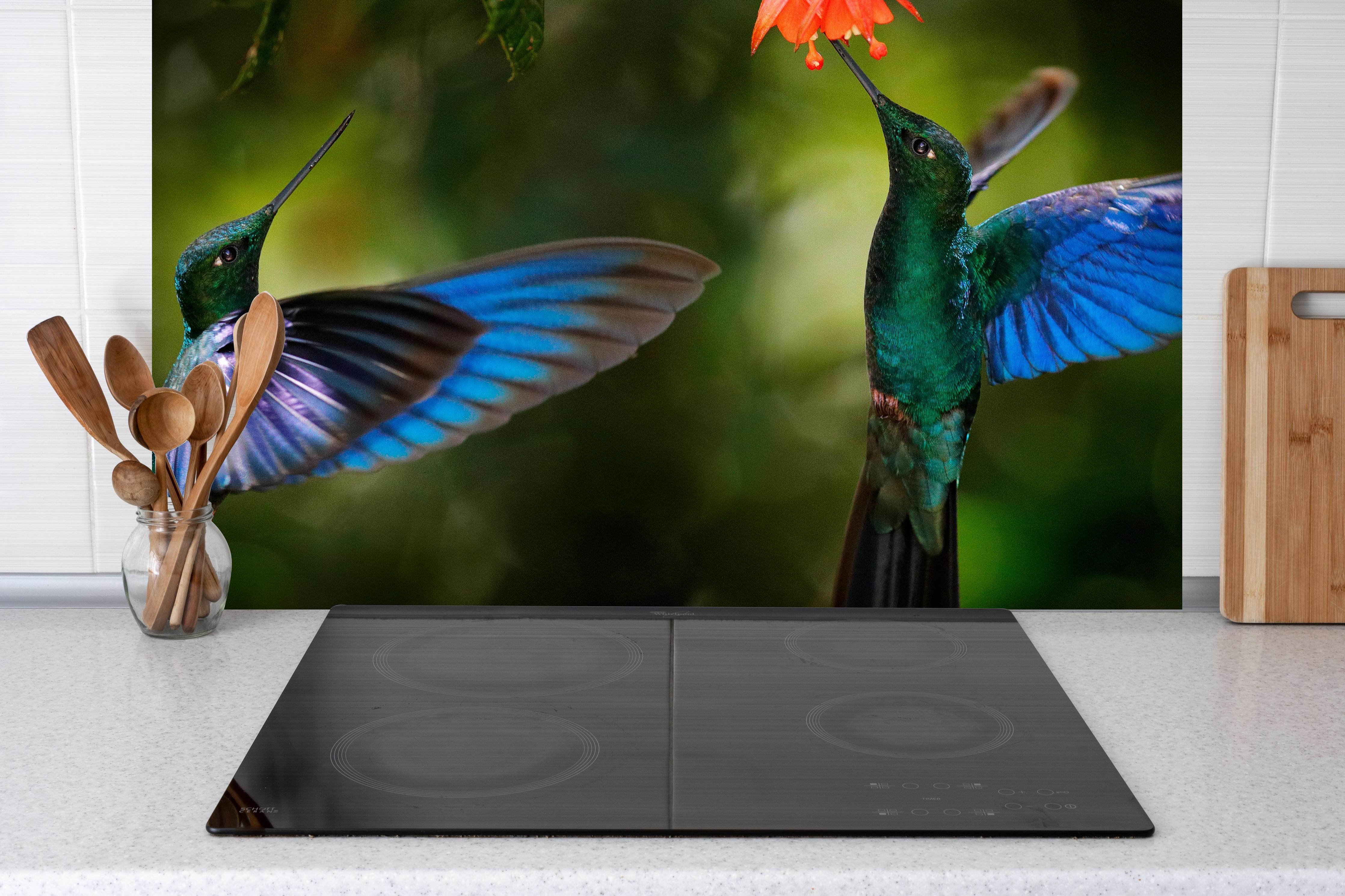 Spritzschutz - Kolibris an der Blüte hinter einem Cerankochfeld zwischen Holz-Kochutensilien