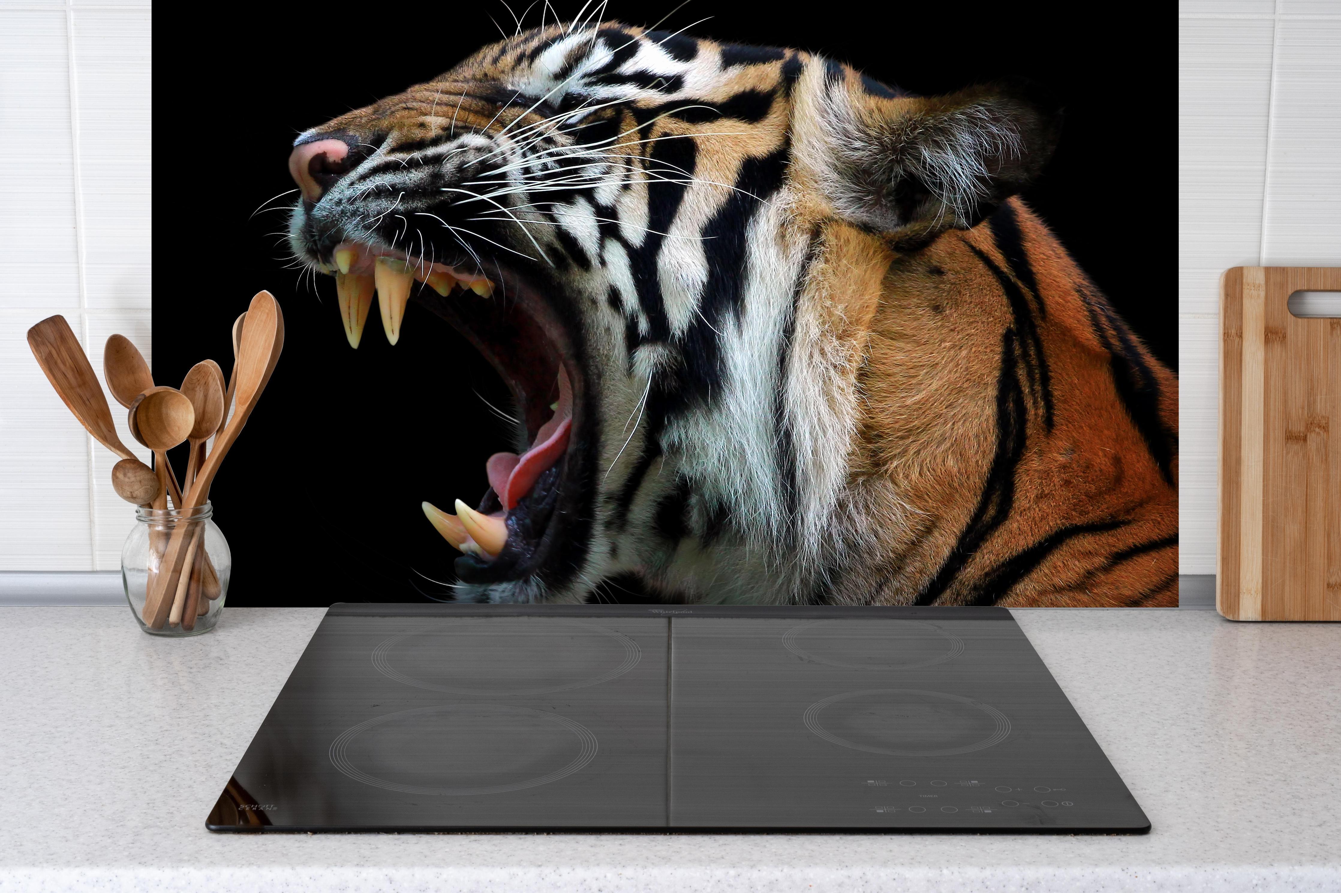 Spritzschutz - Kopf eines Sumatra-Tigers hinter einem Cerankochfeld zwischen Holz-Kochutensilien