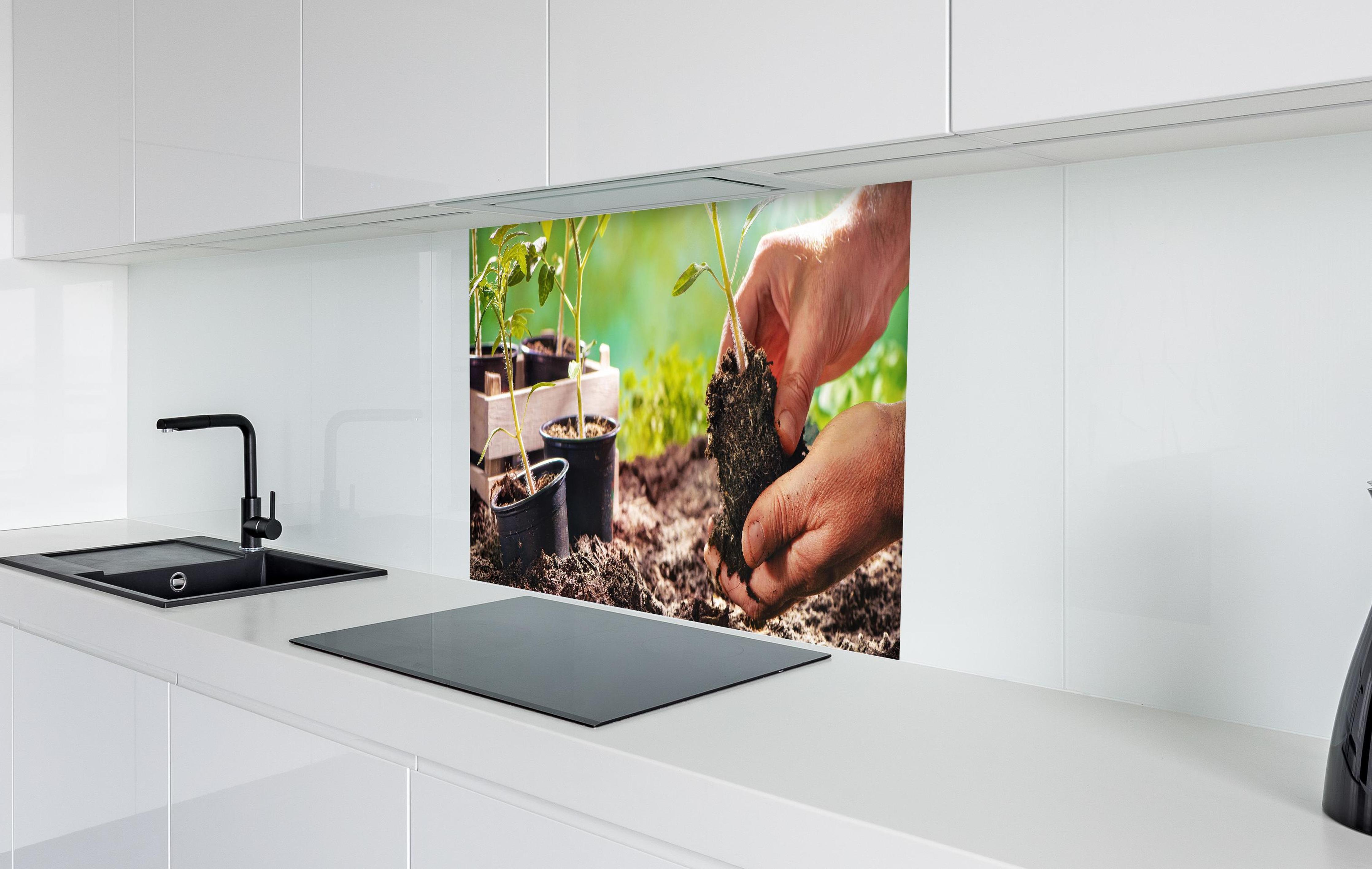 Spritzschutz - Landwirt pflanzt Tomatensetzlinge in weißer Hochglanz-Küche hinter einem Cerankochfeld