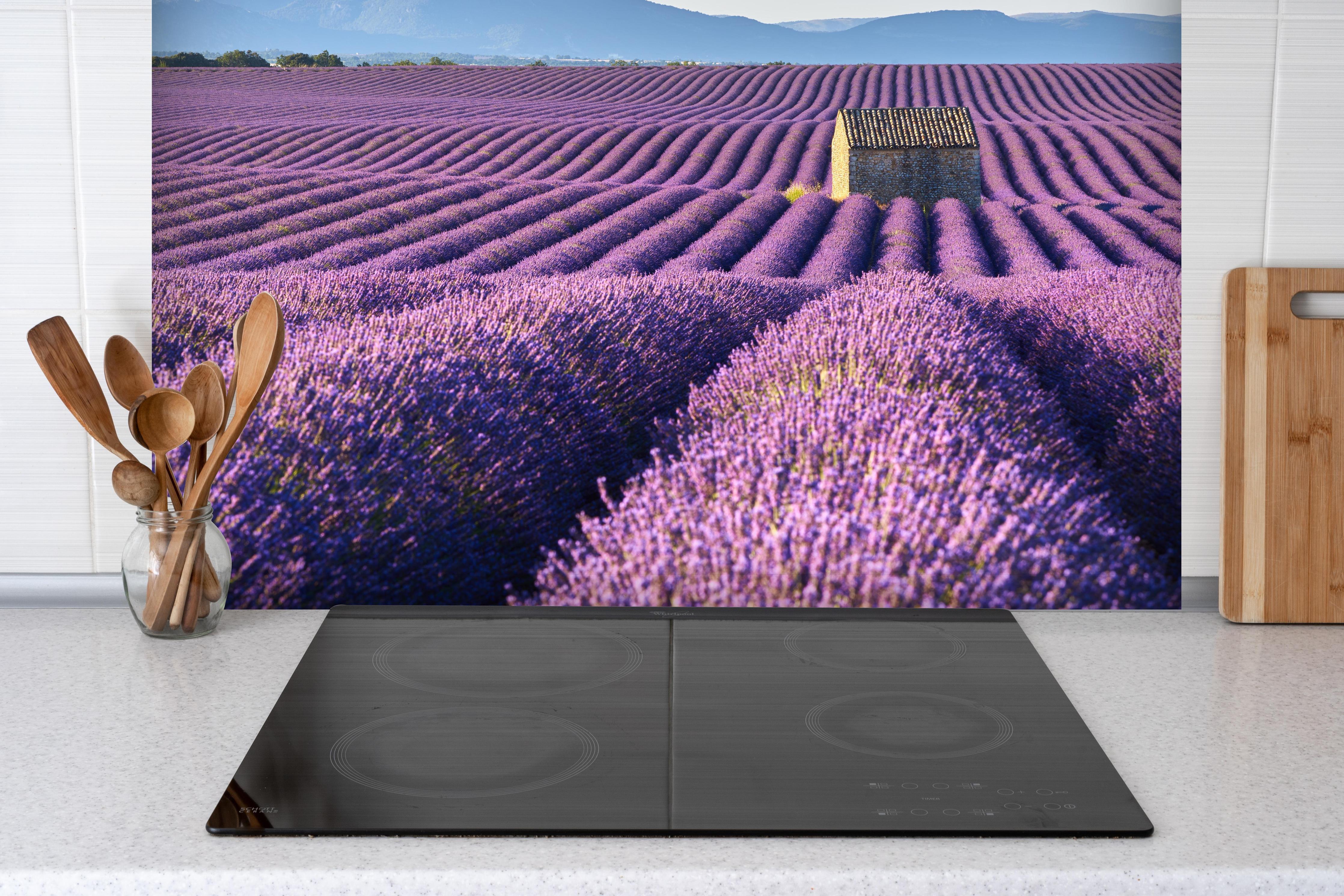 Spritzschutz - Lavendelfelder auf dem Plateau de Valensole hinter einem Cerankochfeld zwischen Holz-Kochutensilien