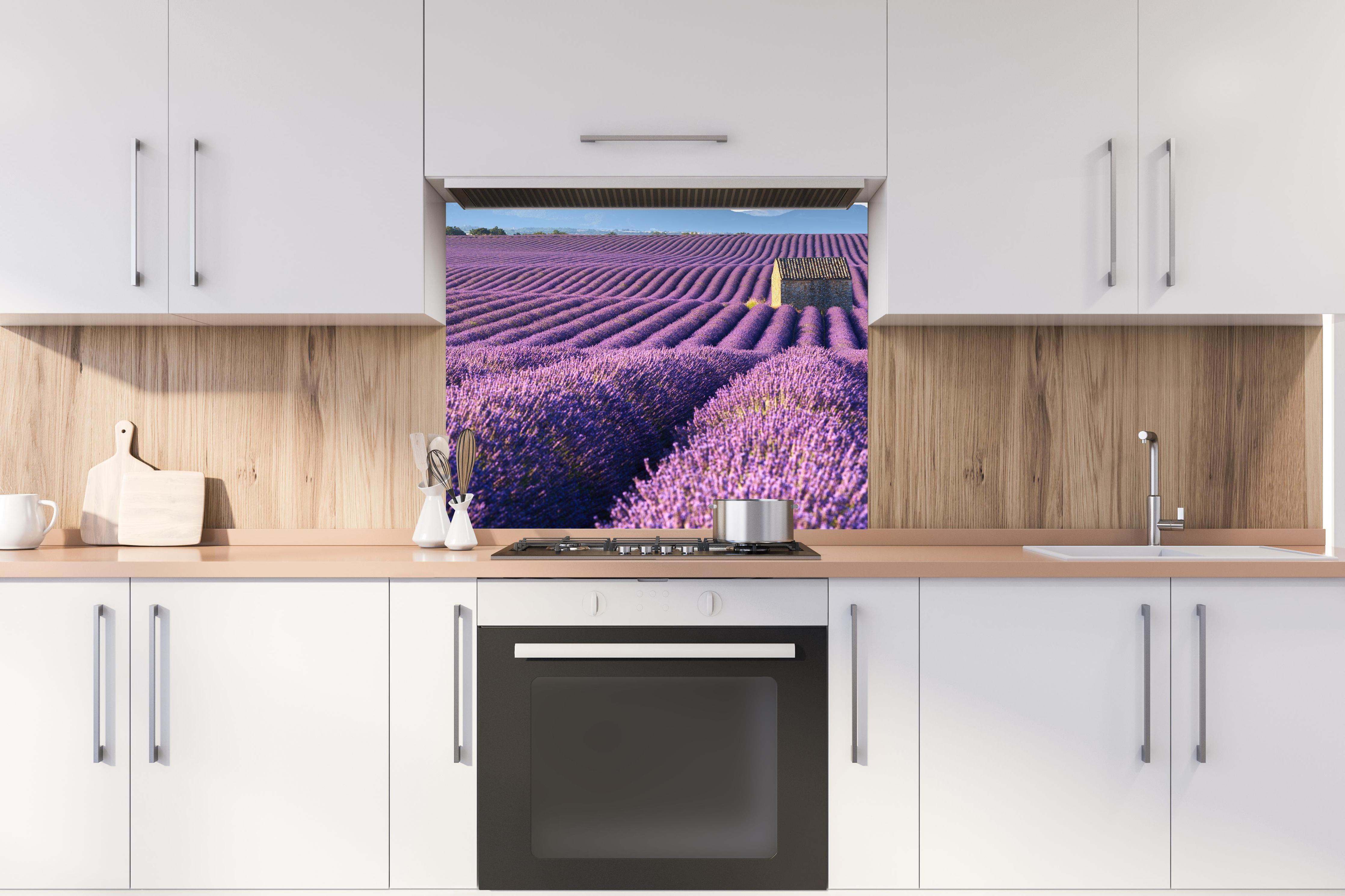 Spritzschutz - Lavendelfelder auf dem Plateau de Valensole hinter stilvollem Gasherd unter Dunstabzugshaube