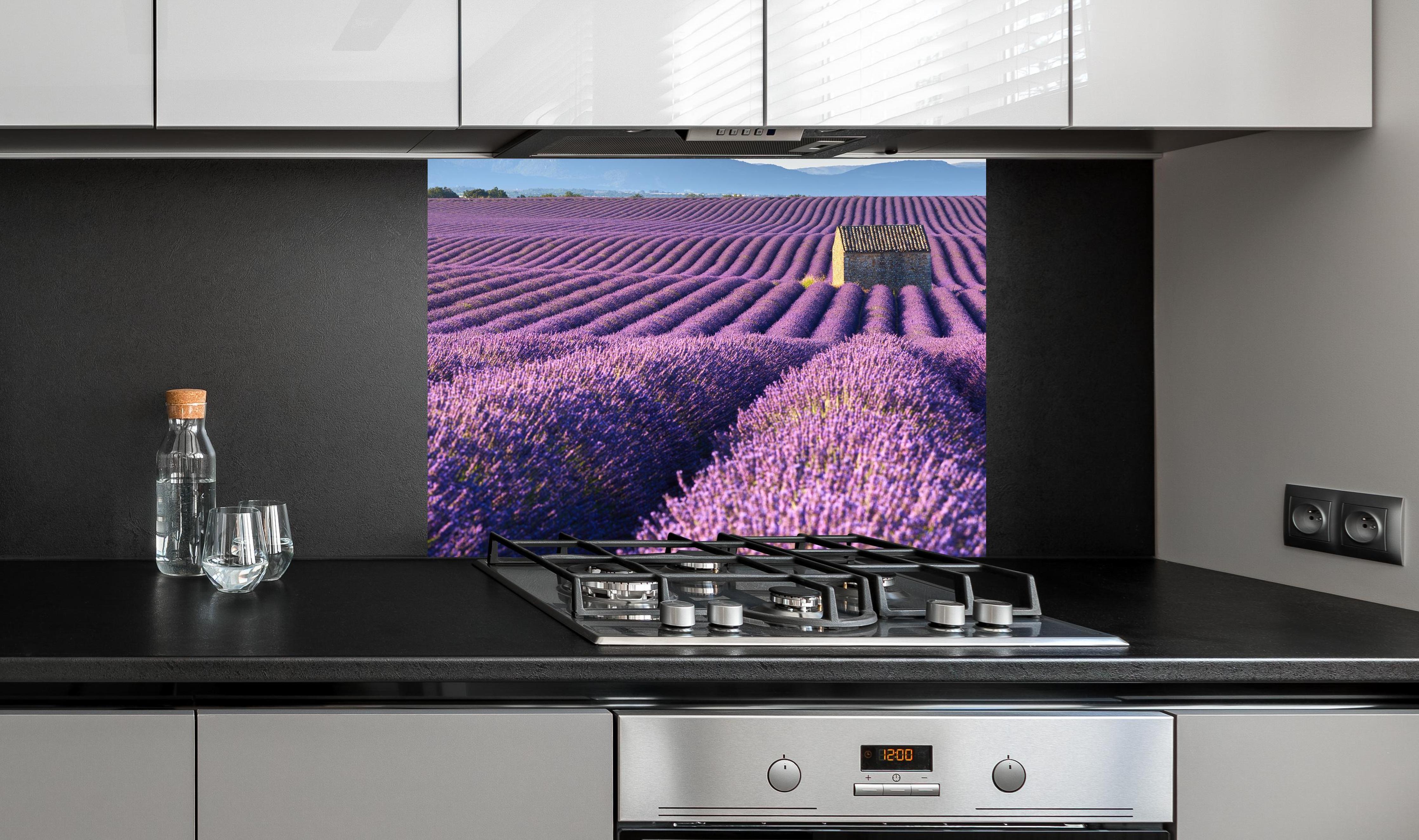 Spritzschutz - Lavendelfelder auf dem Plateau de Valensole an edler Anthrazit-Wand hinter silbernem Gasherd