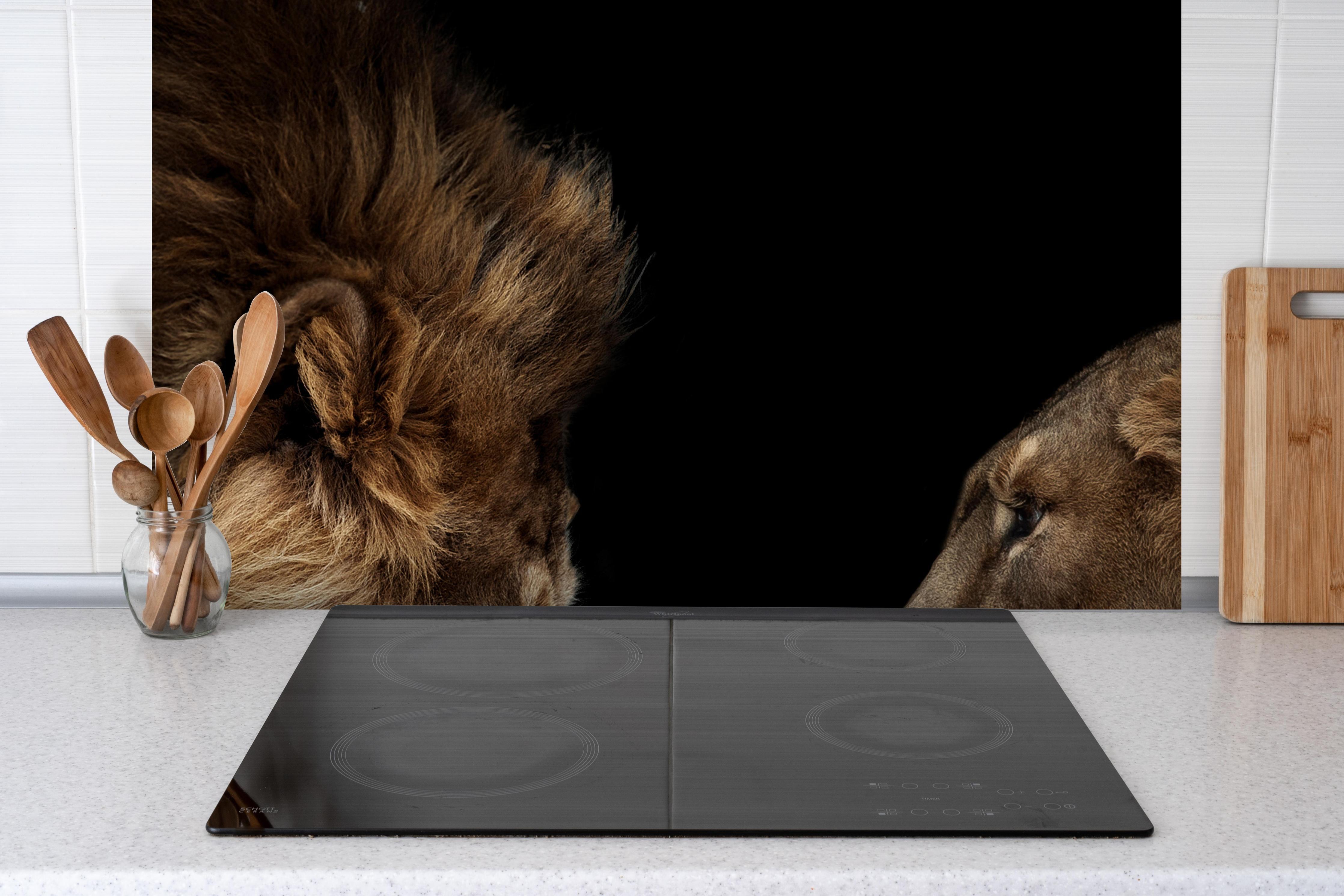 Spritzschutz - Löwe und Löwin gegenüber - Porträt hinter einem Cerankochfeld zwischen Holz-Kochutensilien