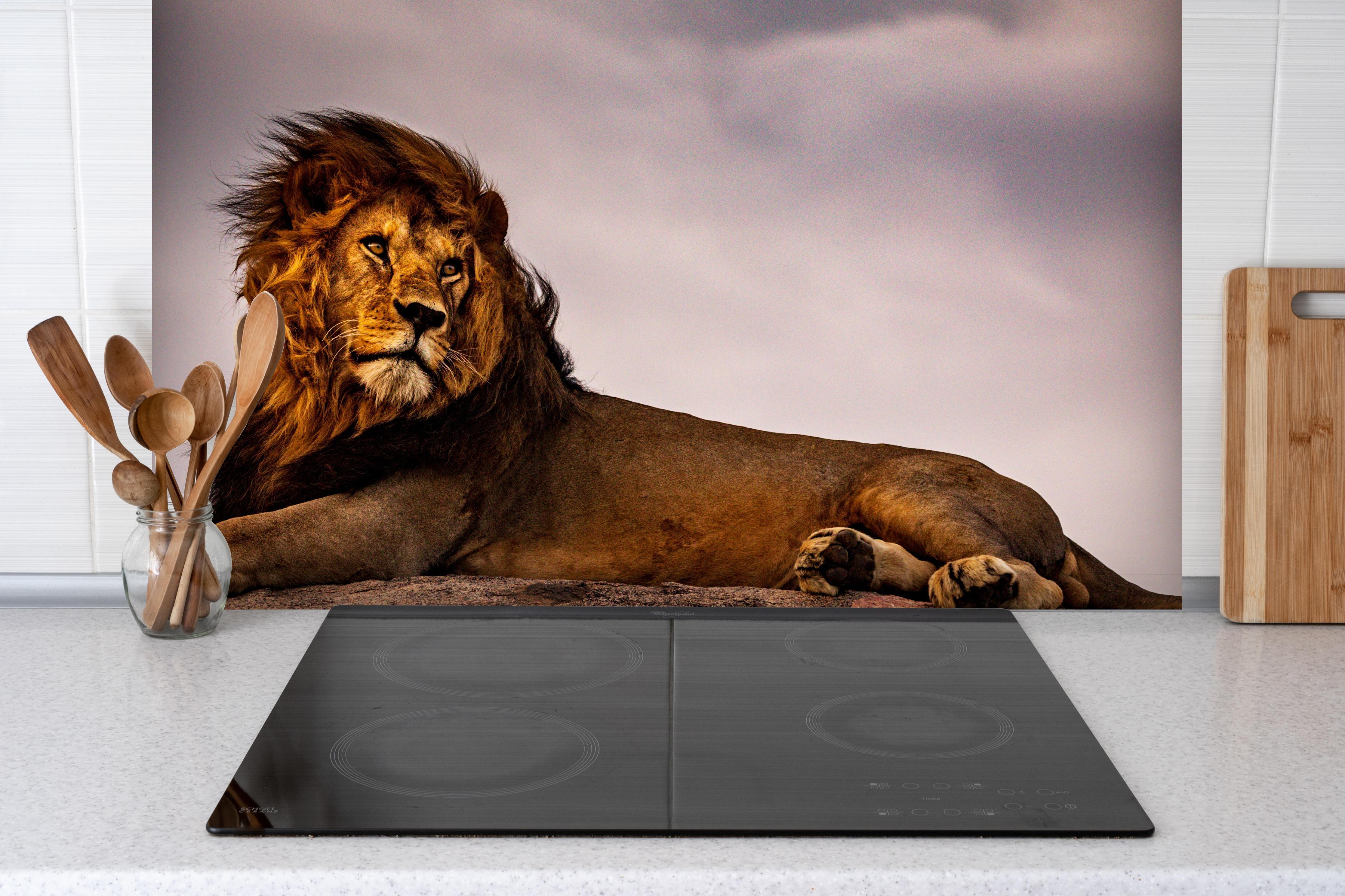 Spritzschutz - Löwe vor dunklem Himmel hinter einem Cerankochfeld zwischen Holz-Kochutensilien