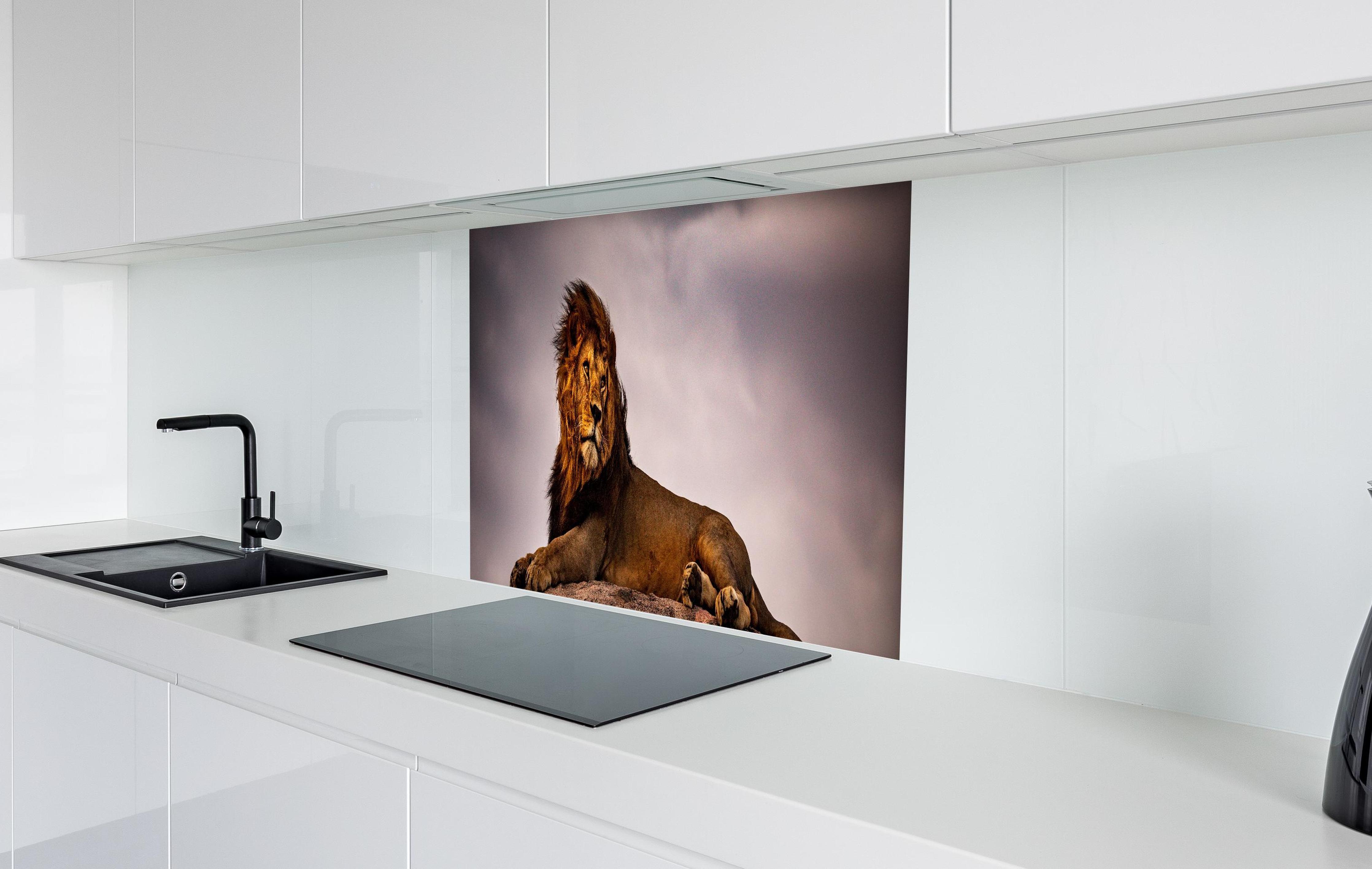 Spritzschutz - Löwe vor dunklem Himmel in weißer Hochglanz-Küche hinter einem Cerankochfeld