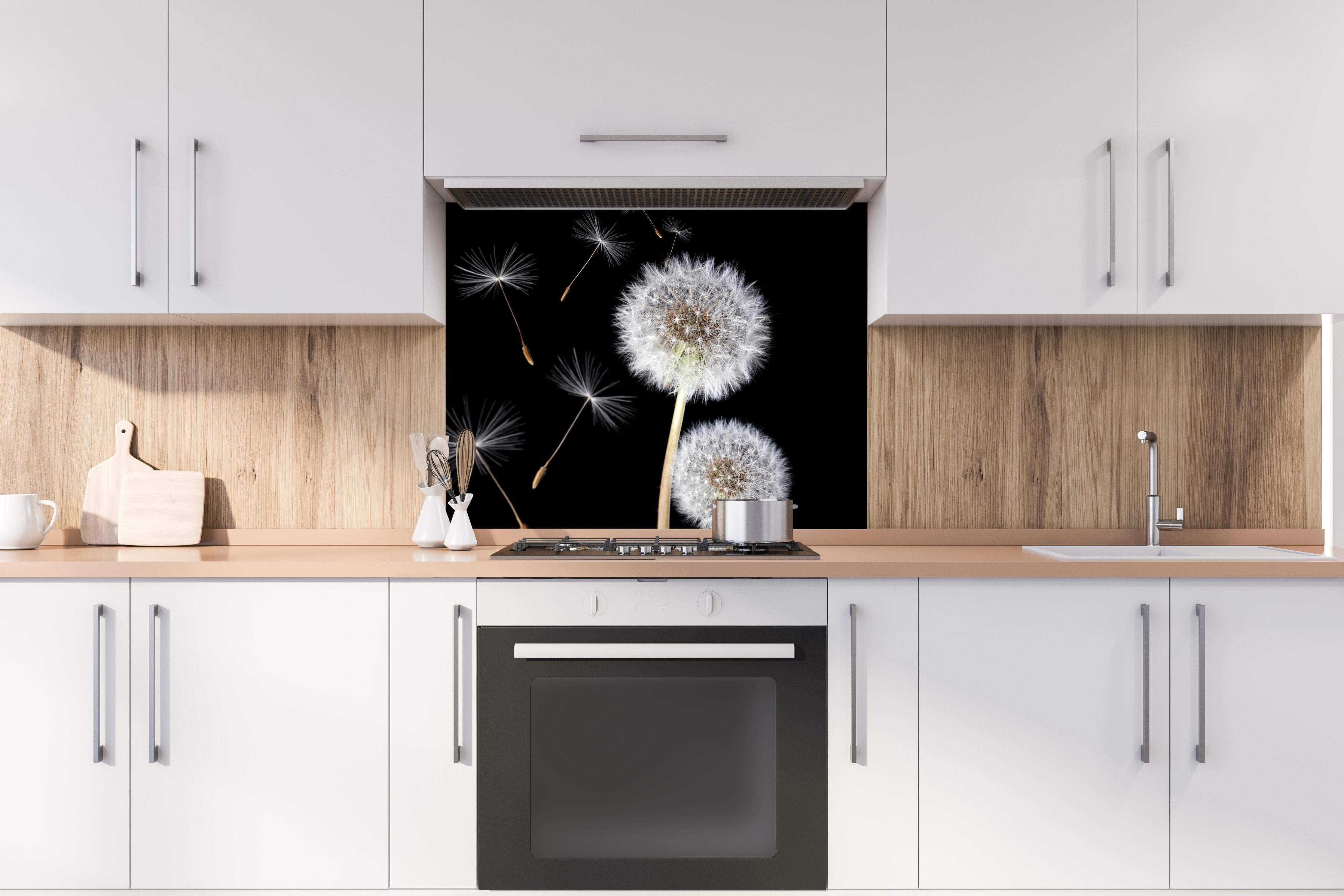 Spritzschutz - Löwenzahn auf schwarzem Hintergrund hinter stilvollem Gasherd unter Dunstabzugshaube